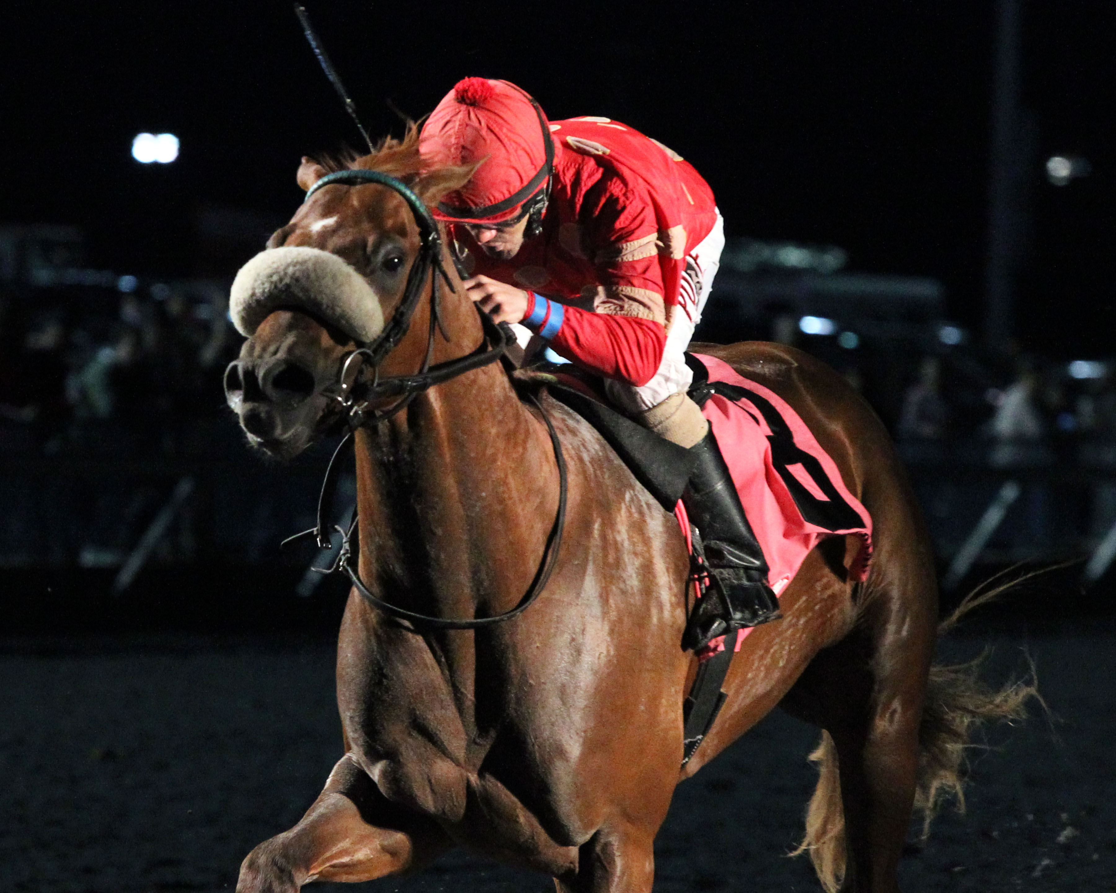 Surgical Strike rallies to win John Battaglia Memorial