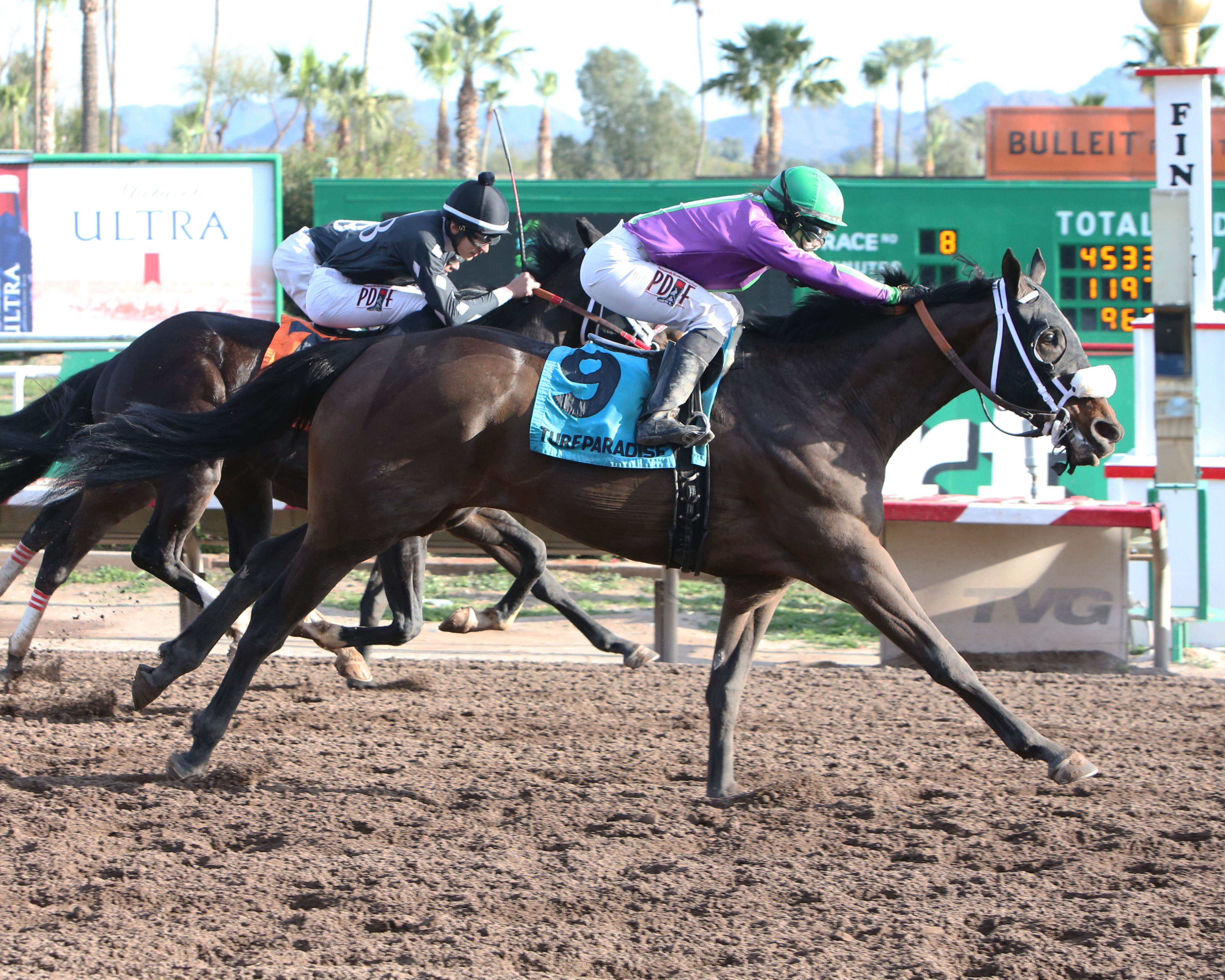 Swagsational wins the 2020 Turf Paradise Derby