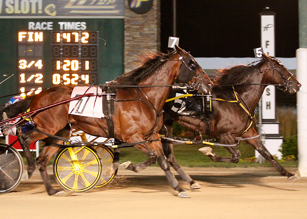 Sweet Lou_Dan Patch