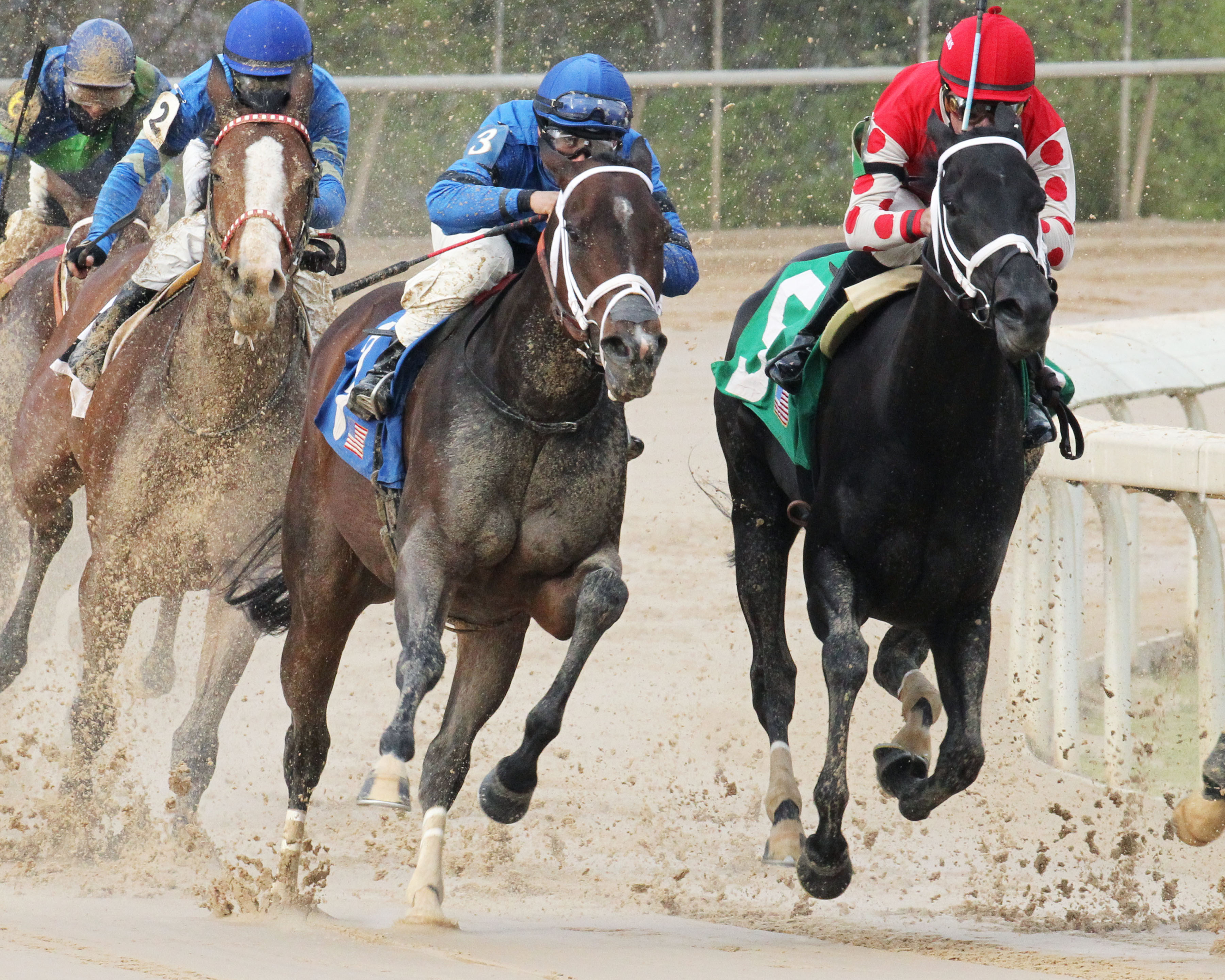 Swing and Sway wins the 2018 Carousel