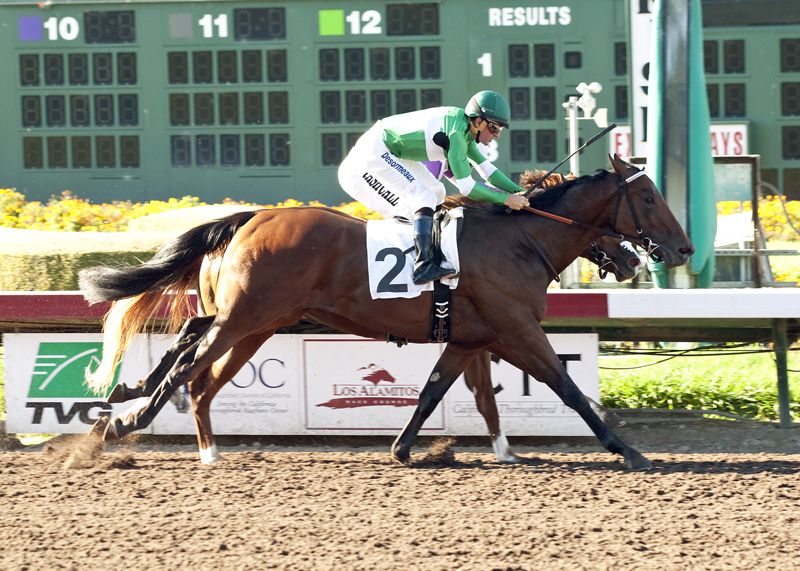 Swipe wins 2015 Summer Juvenile Championship