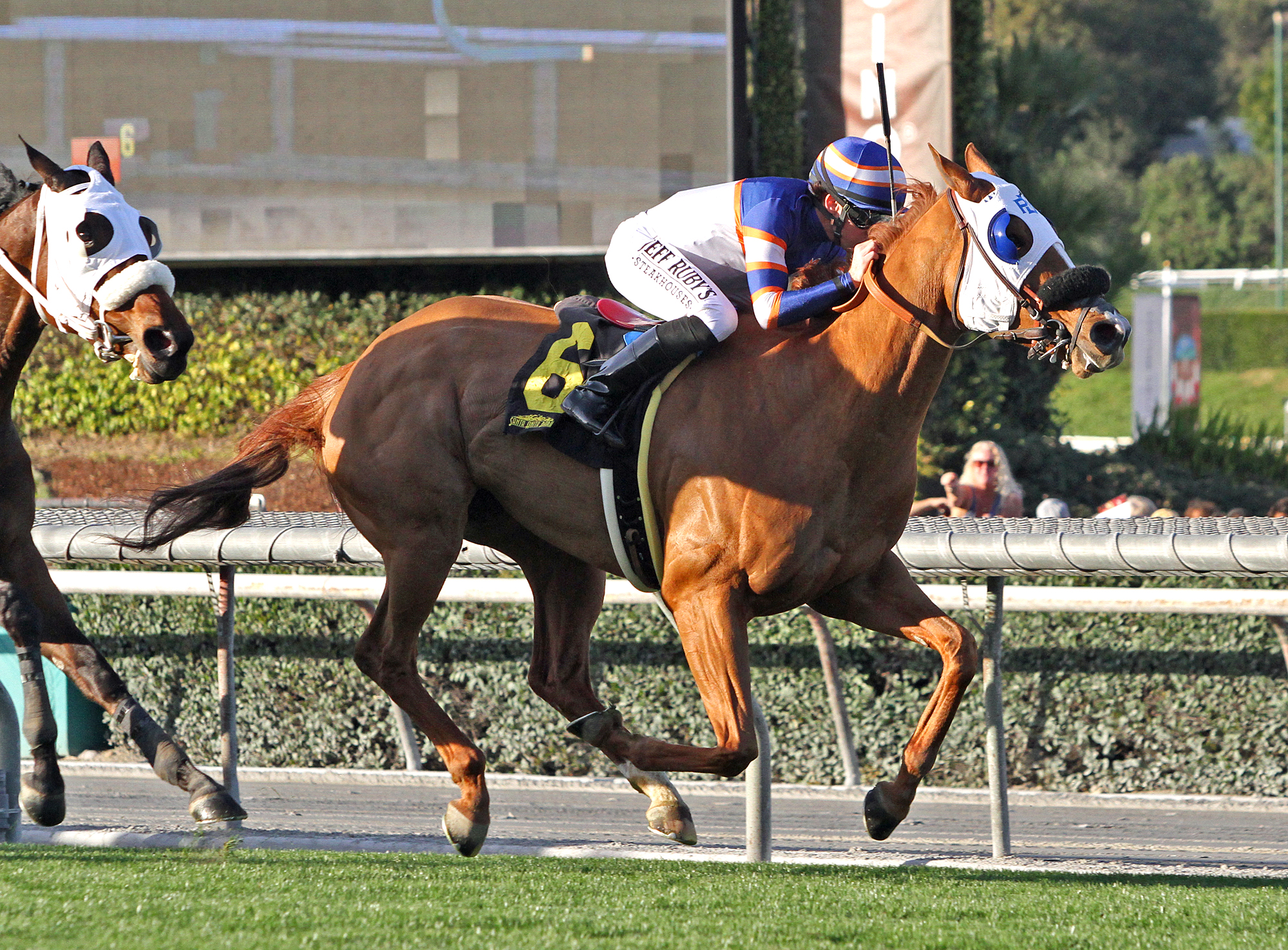 S Y Sky wins 2019 Sunshine Millions F-M turf sprint