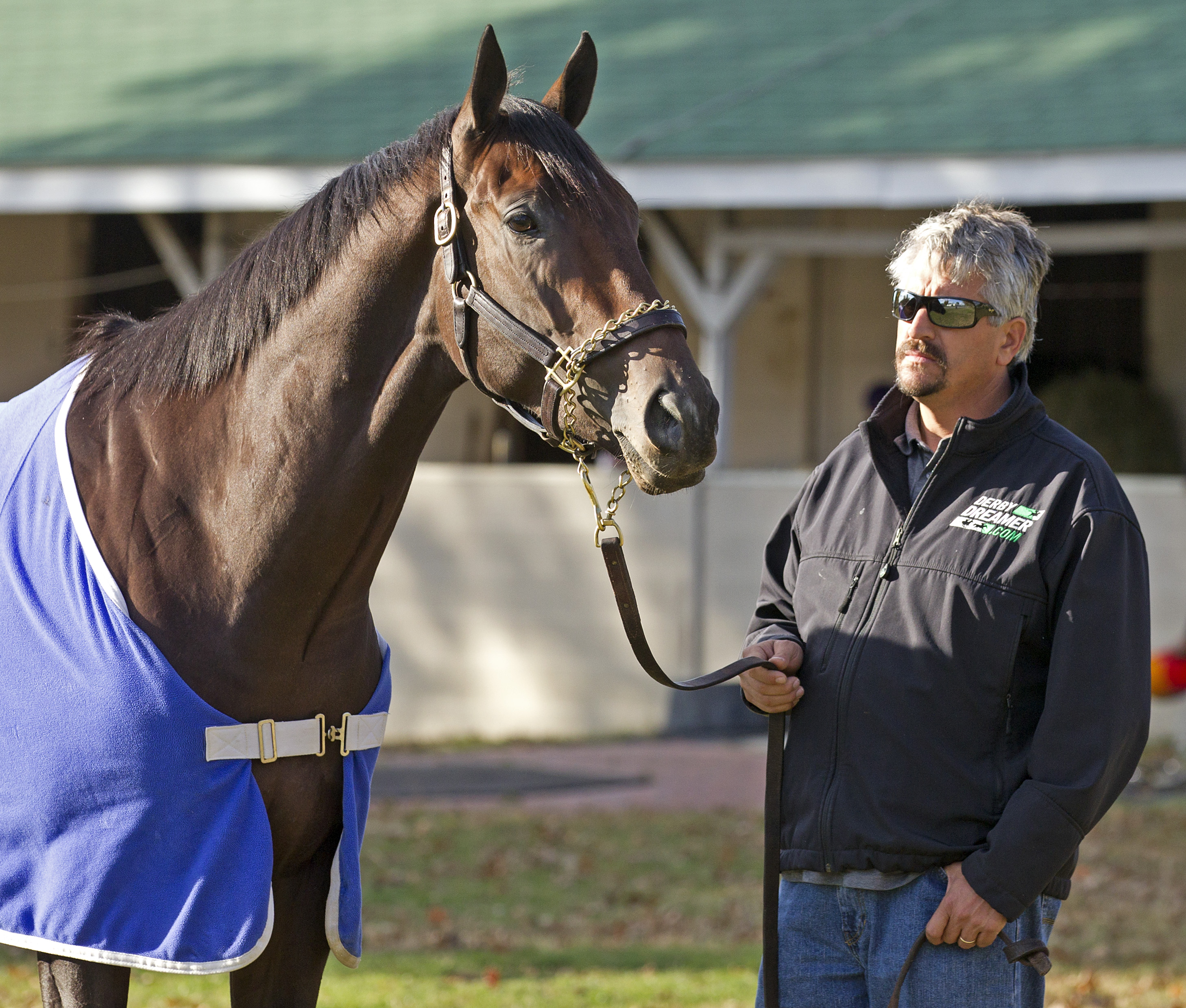 Sabercat/Asmussen