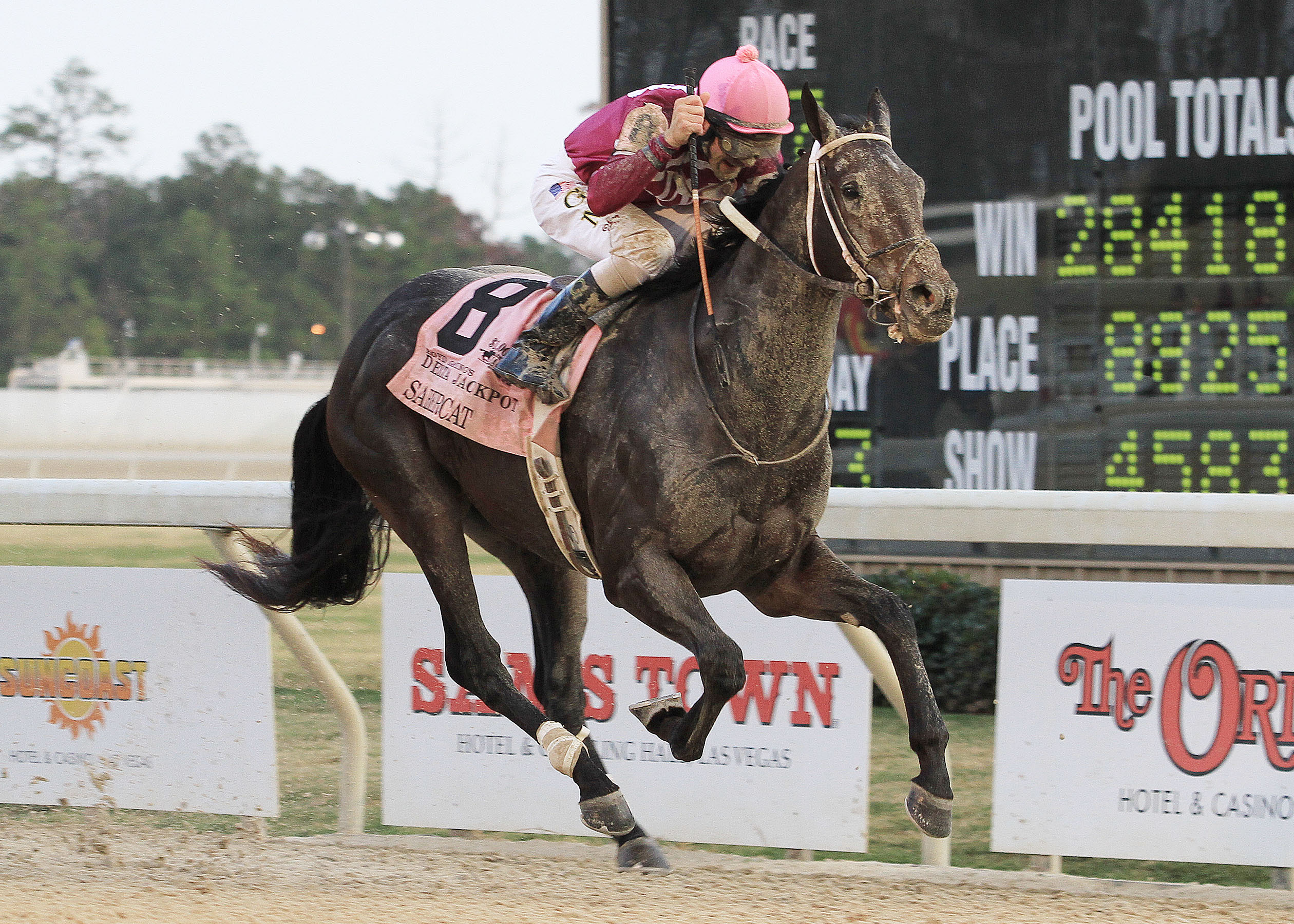 Sabercat/Delta Downs Jackpot
