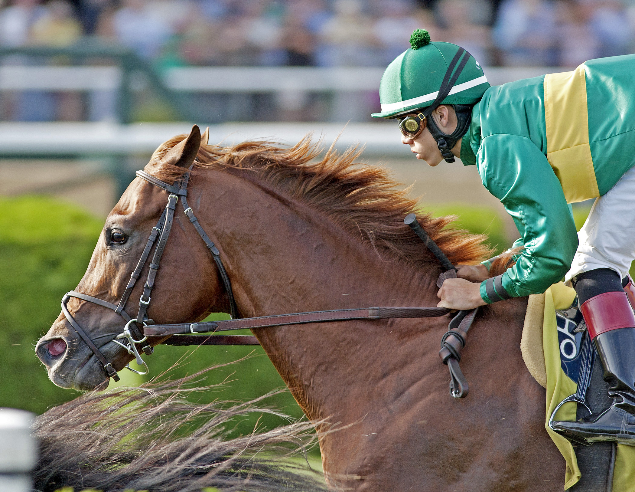 Sachem Spirit finishes fourth in an allowance