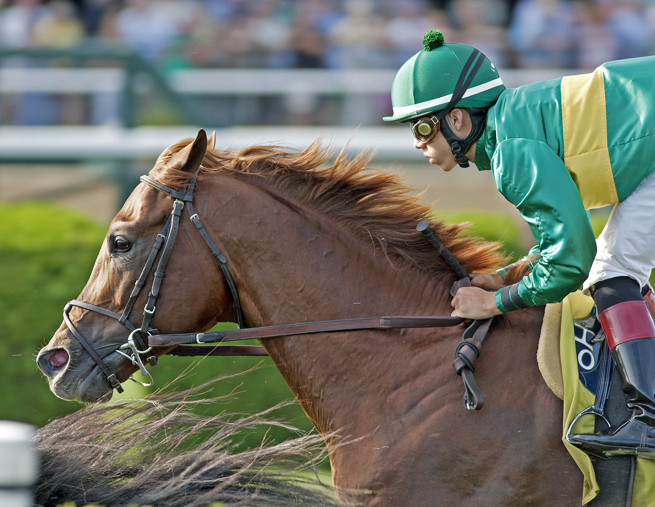 Sachem Spirit finishes fourth in a 2013 allowance