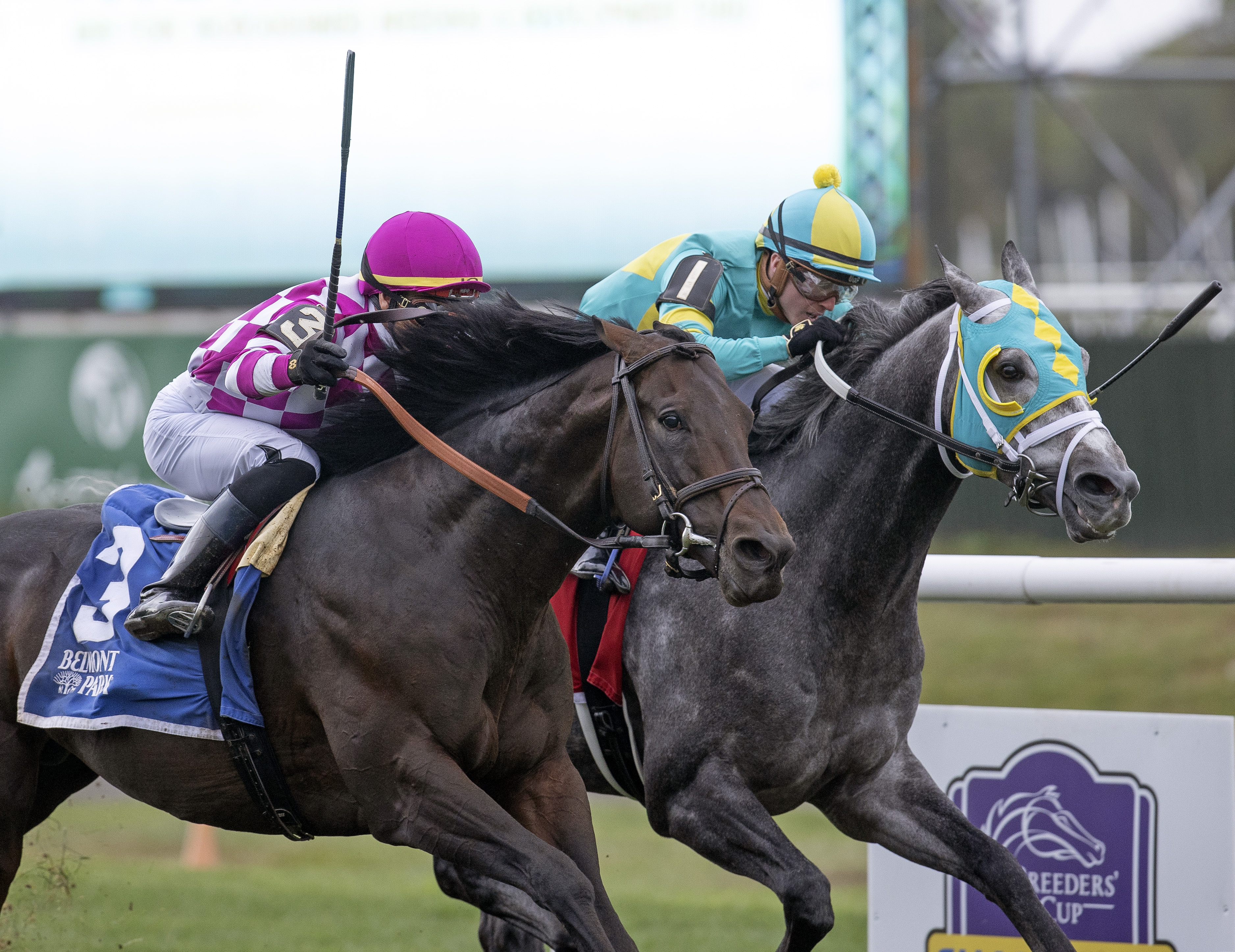 Sacred Life (left) wins Knickerbocker 10-10-2021