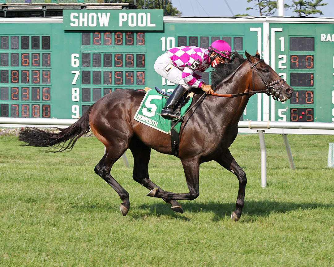 Sacred Life wins the 2020 Oceanport Stakes at Monmouth Park
