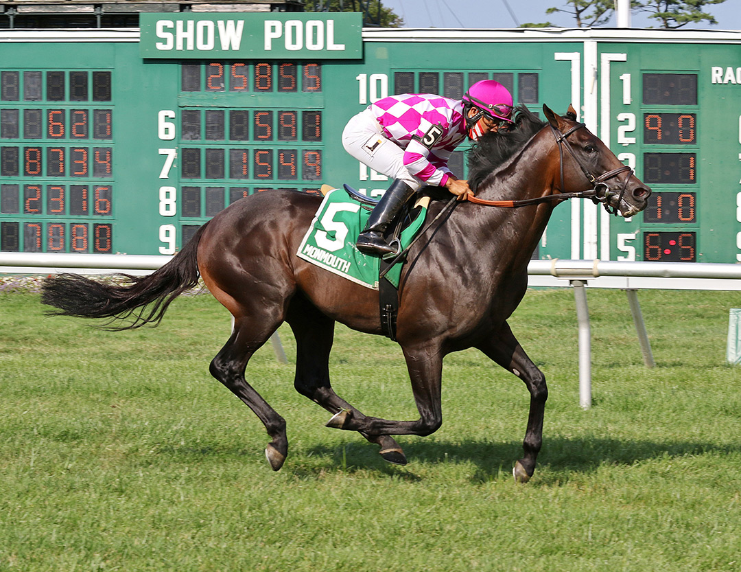Sacred Life wins the 2020 Oceanport Stakes at Monmouth Park