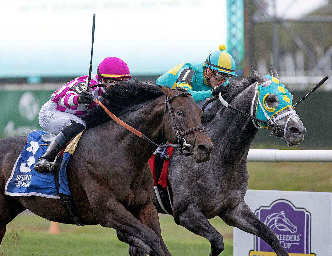 Sacred Life (left) beats Field Pass to win the 2021 Knickerbocker at Belmont Park