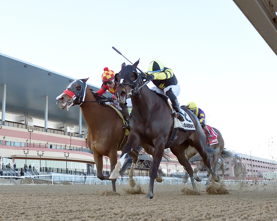 Sadie Lady (right) wins the 2021 Correction Stakes at Aqueduct Racetrack
