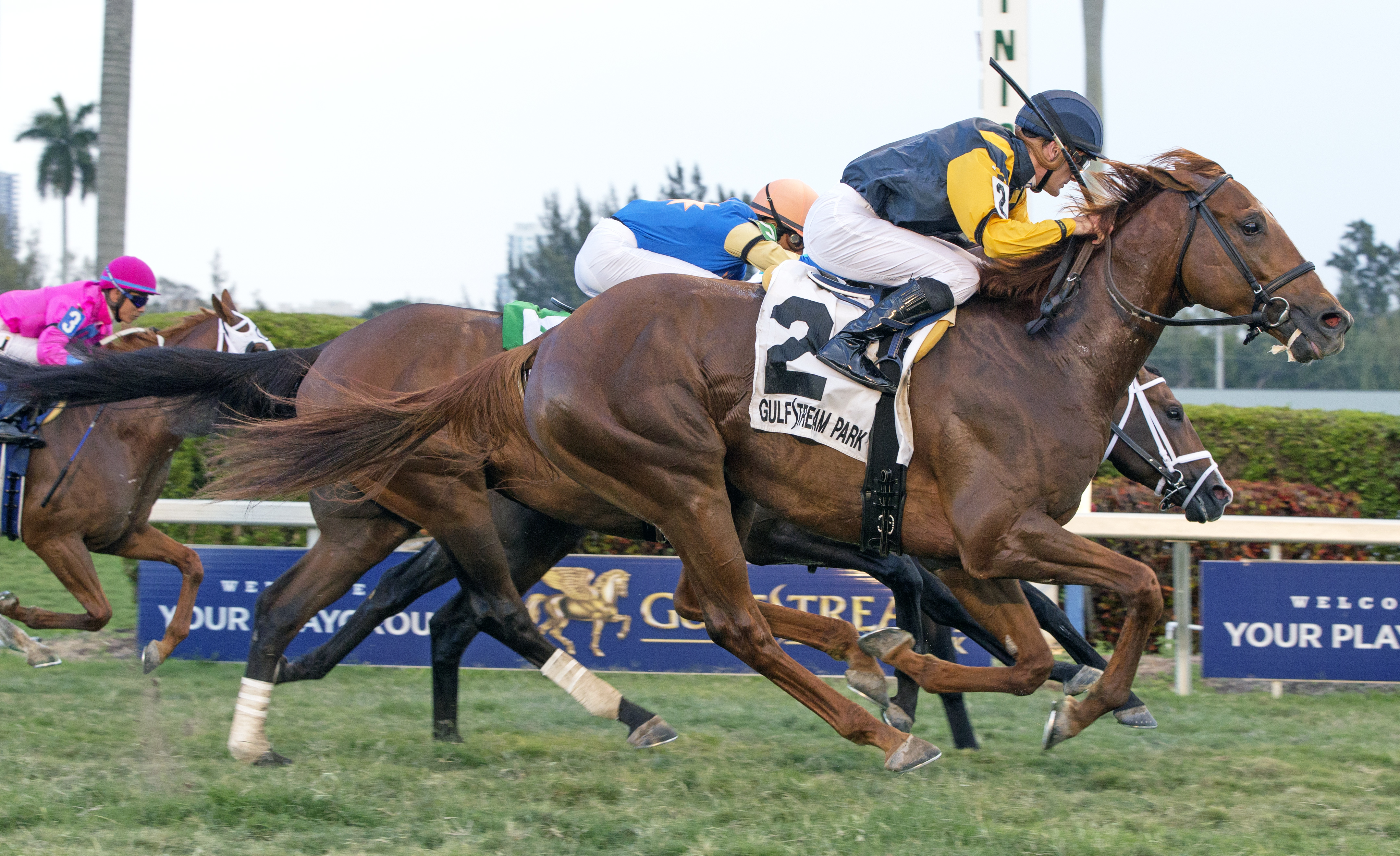 Sadler's Joy wins the 2017 Pan American Stakes