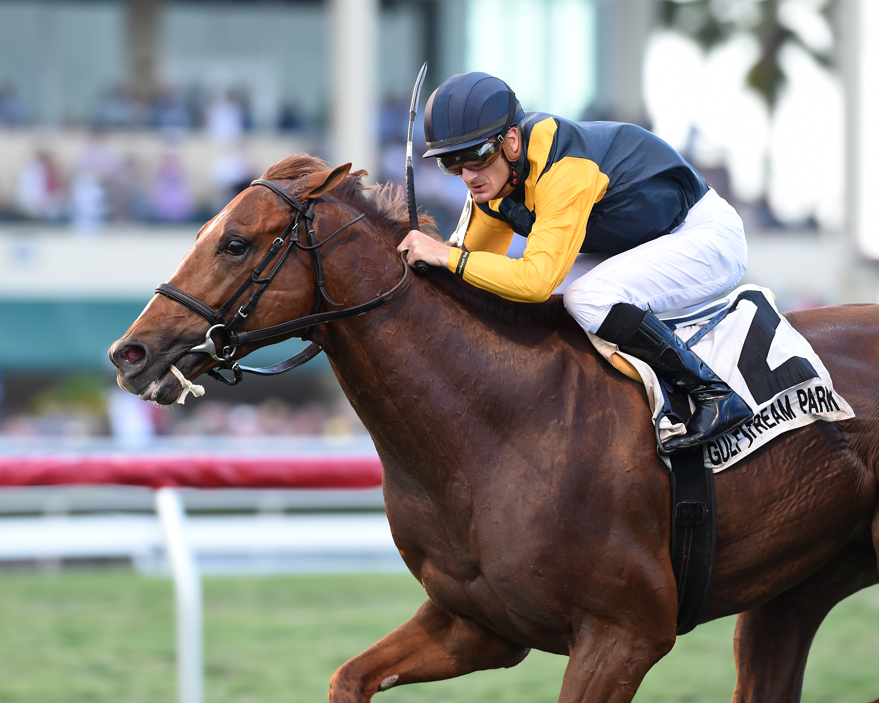 Sadler's Joy wins the 2017 Pan American Stakes