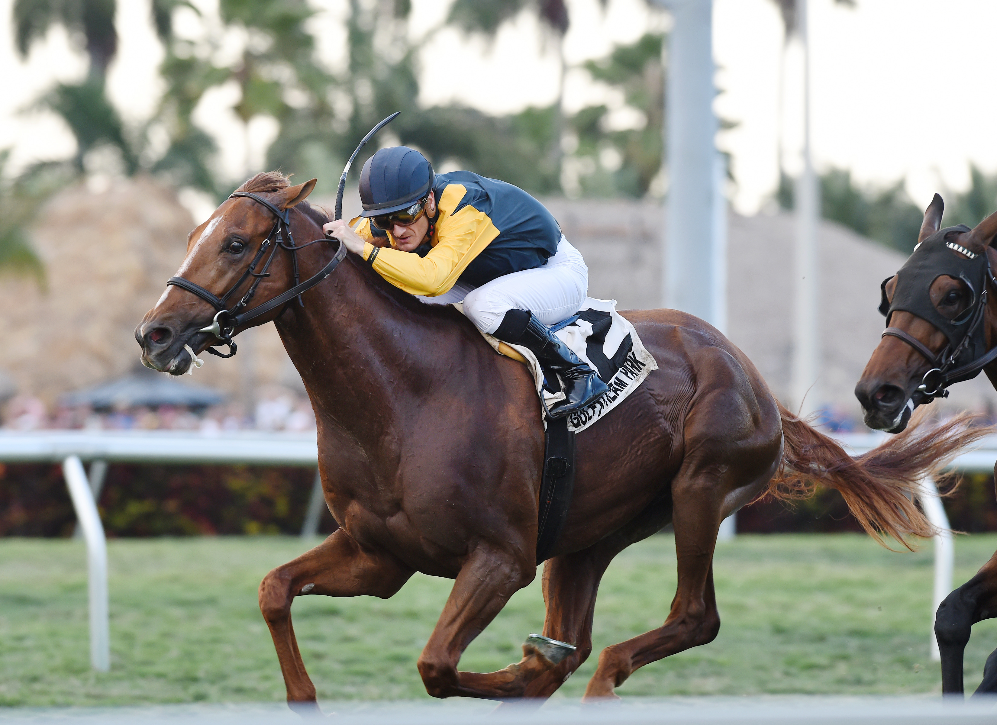 Sadler's Joy wins the Pan American Stakes