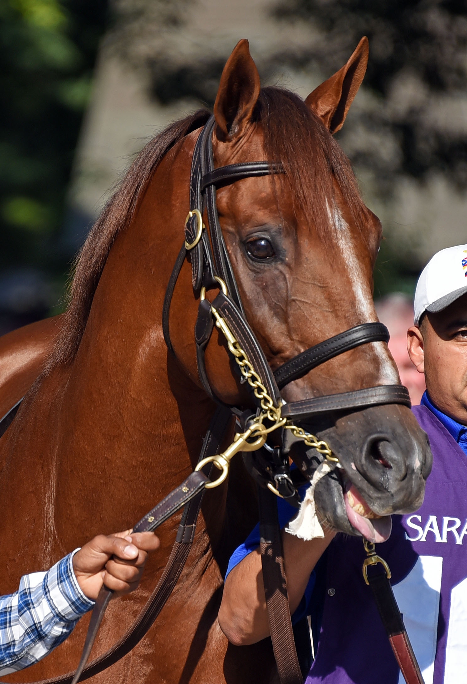 Sadler-s Joy at Saratoga on 8.25.18