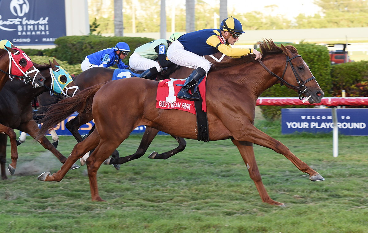 Sadler-s Joy wins the Mac Diarmida