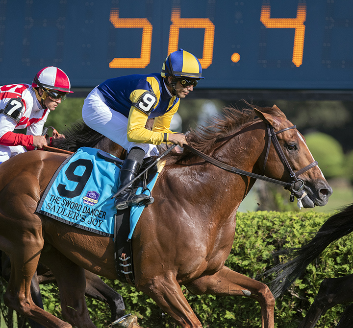 Sadler-s Joy finishes second in the Sword Dancer at Saratoga Race Course