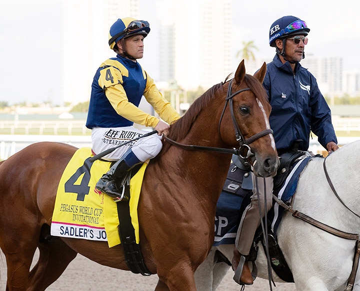 Sadler's Joy at the Pegasus World Cup Turf at Gulfstream Park