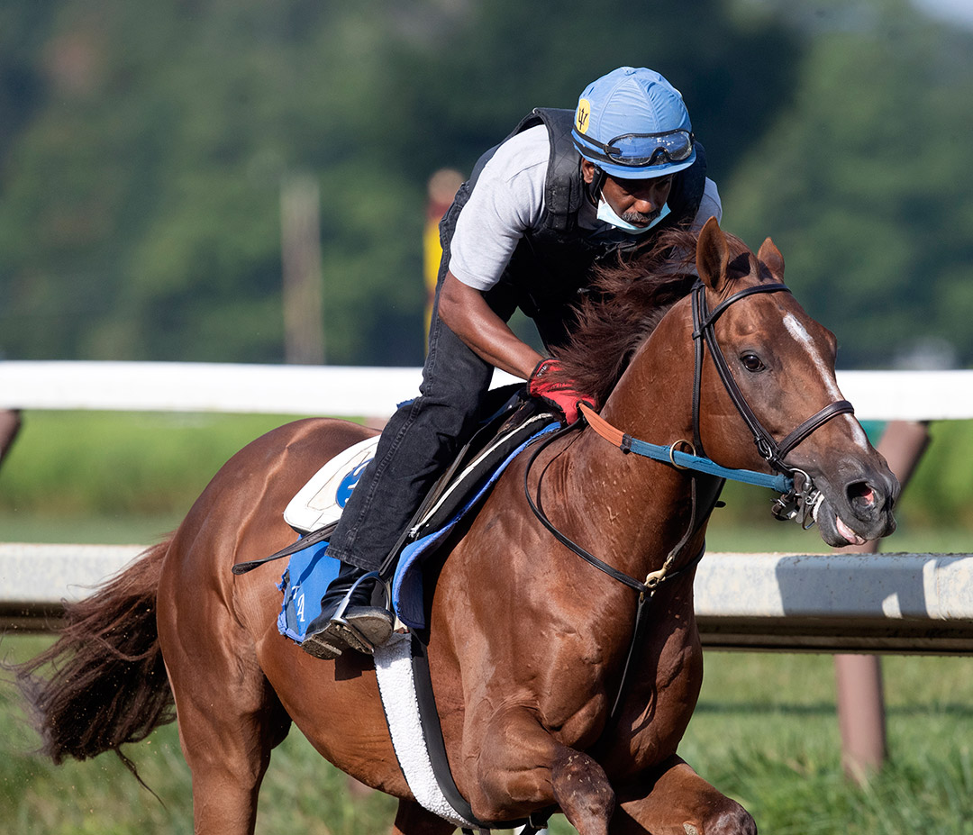 Sadler's Joy trains at Saratoga Race Course in August 2020