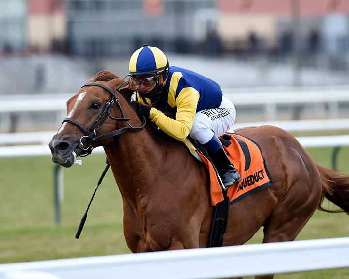 Sadler's Joy wins the 2019 Red Smith Stakes at Aqueduct