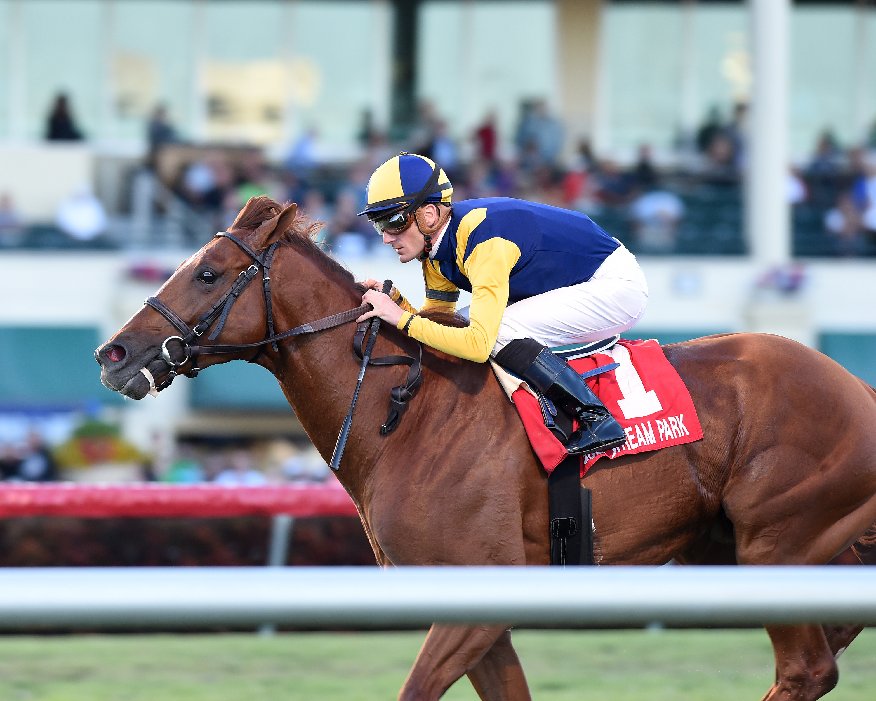Sadler-s Joy wins the 2018 Mac Diarmida Stakes