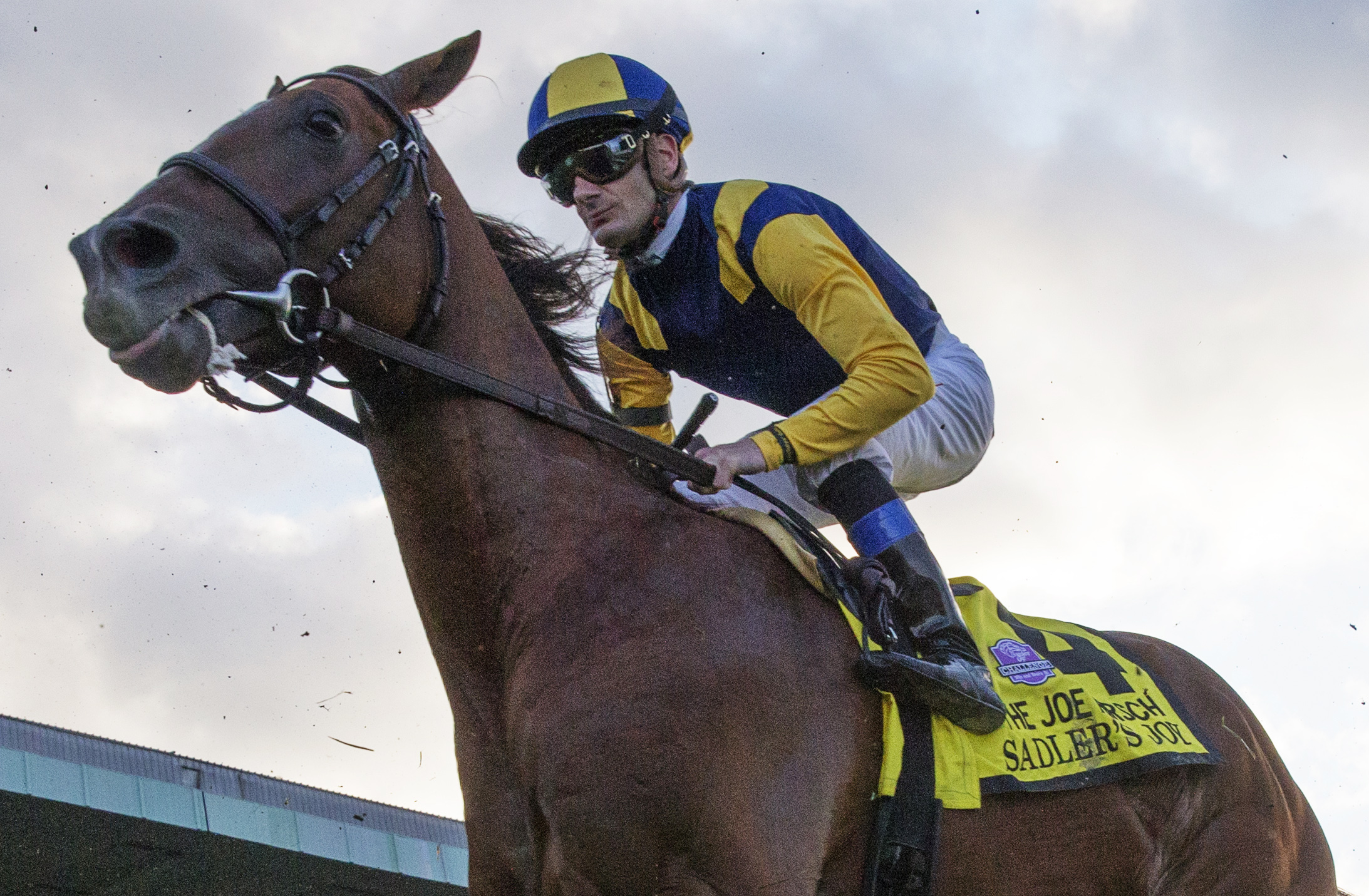 Sadlers Joy finishes fourth in the Joe Hirsch Turf Classic