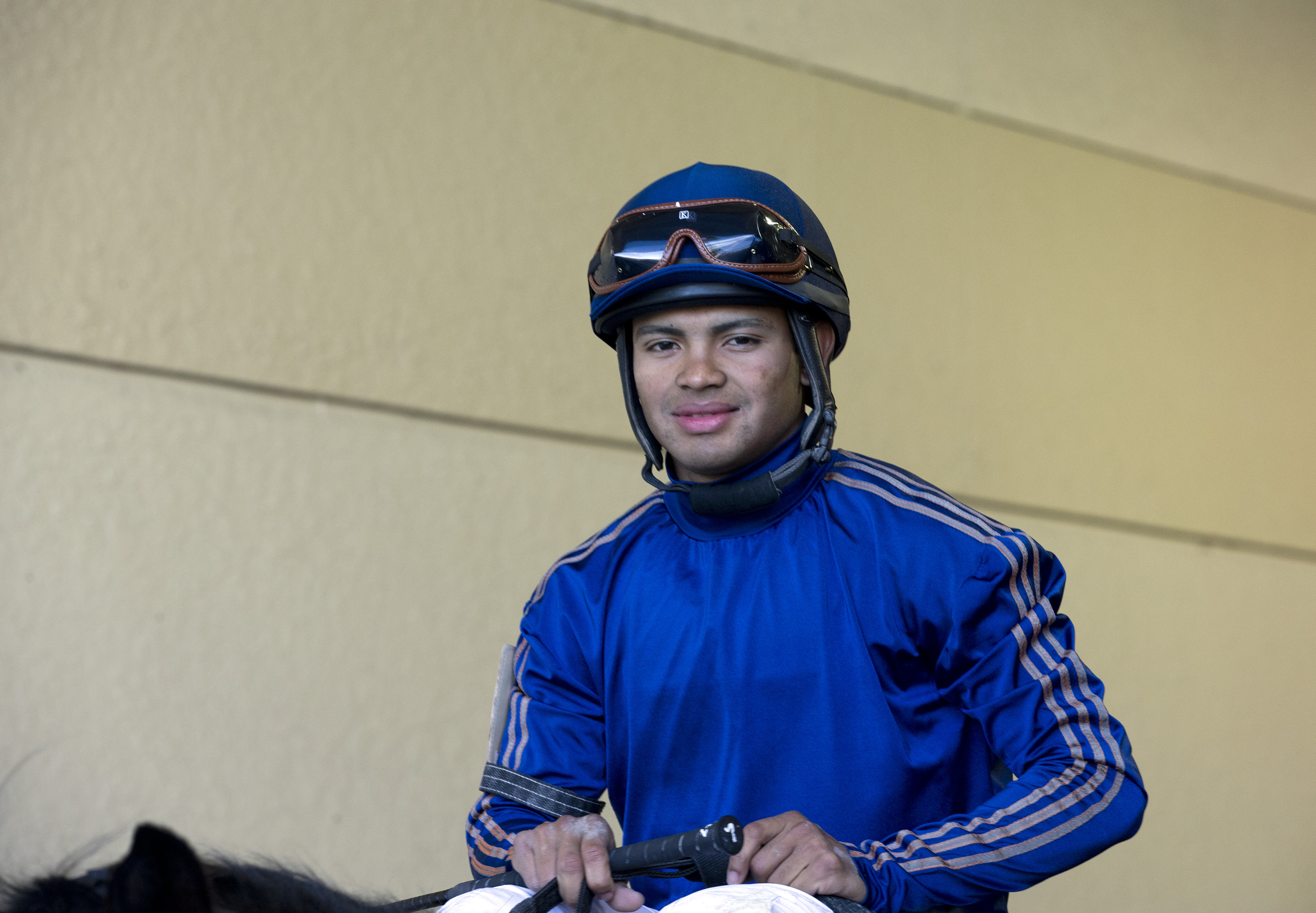 Luis Saez