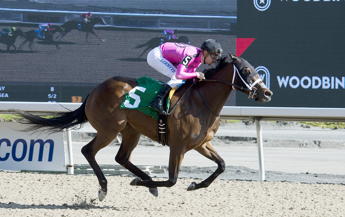 Safe to Say wins a May 4 allowance race
