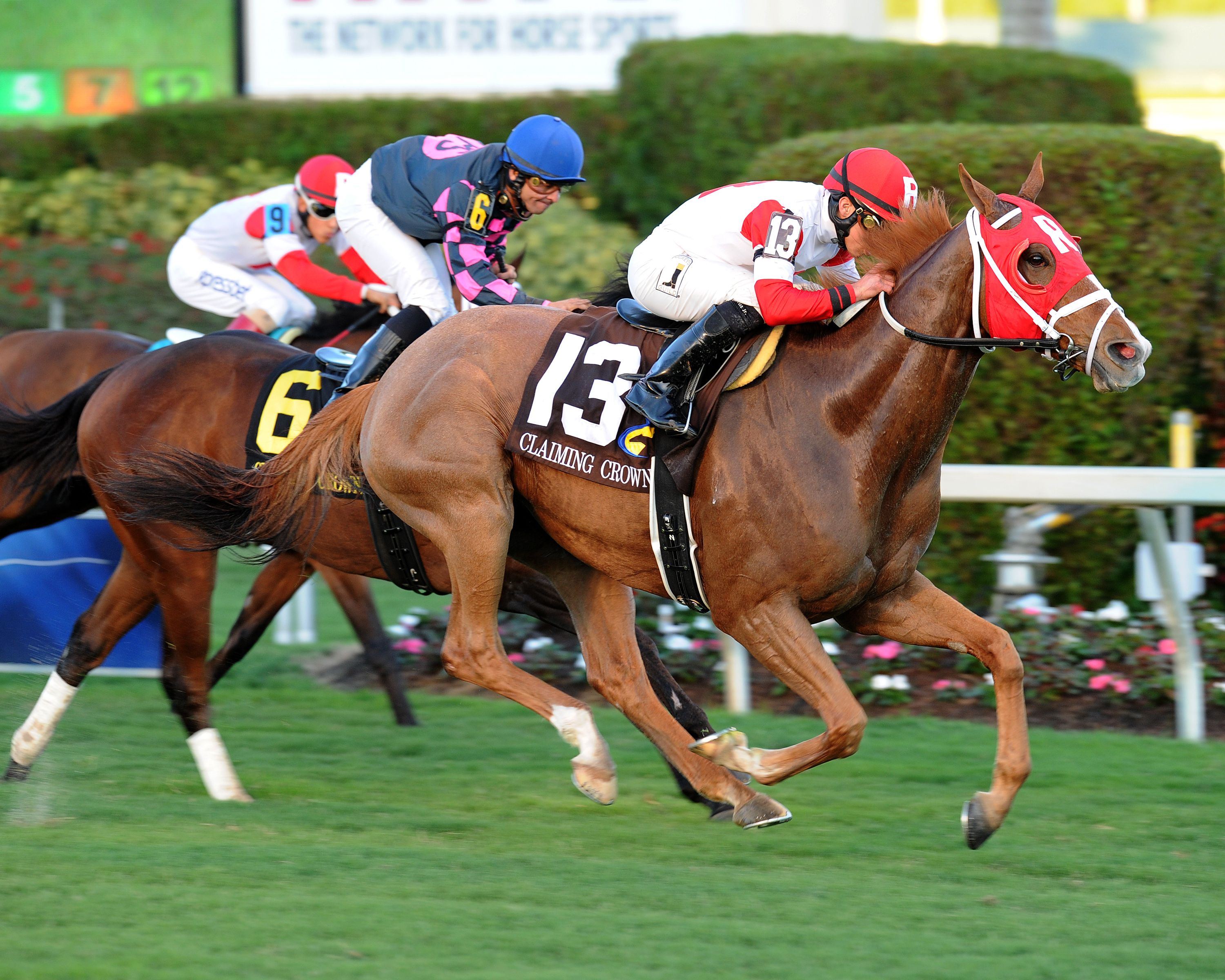 Saffron Hall wins the 2014 Emerald Stakes