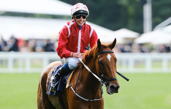 Saffron Beach - Duke of Cambridge S. 2022