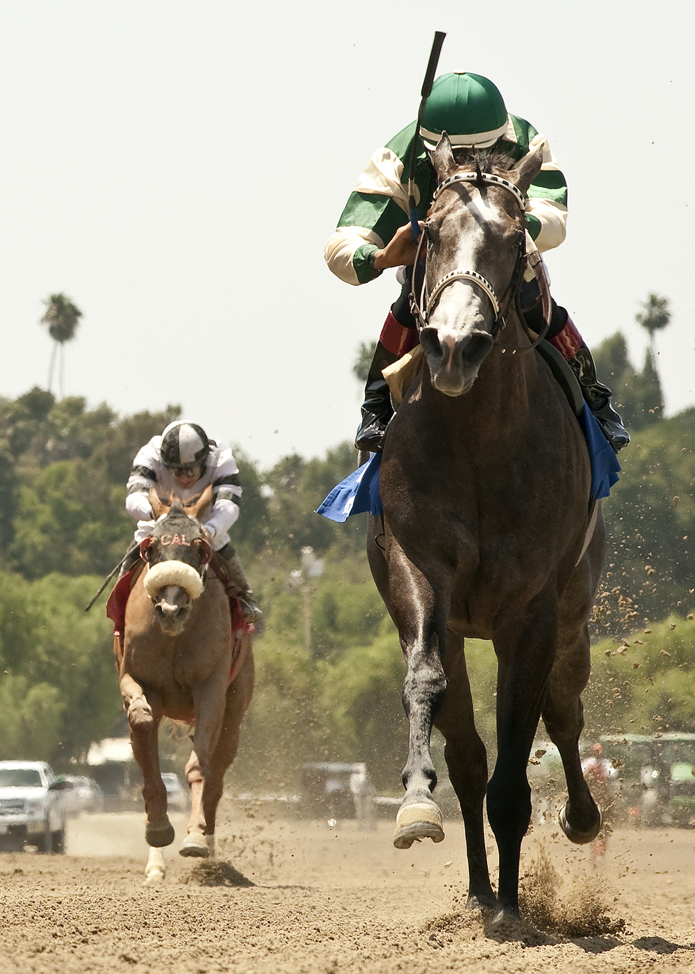 Sagebrush Queen wins 2014 Desert Stormer