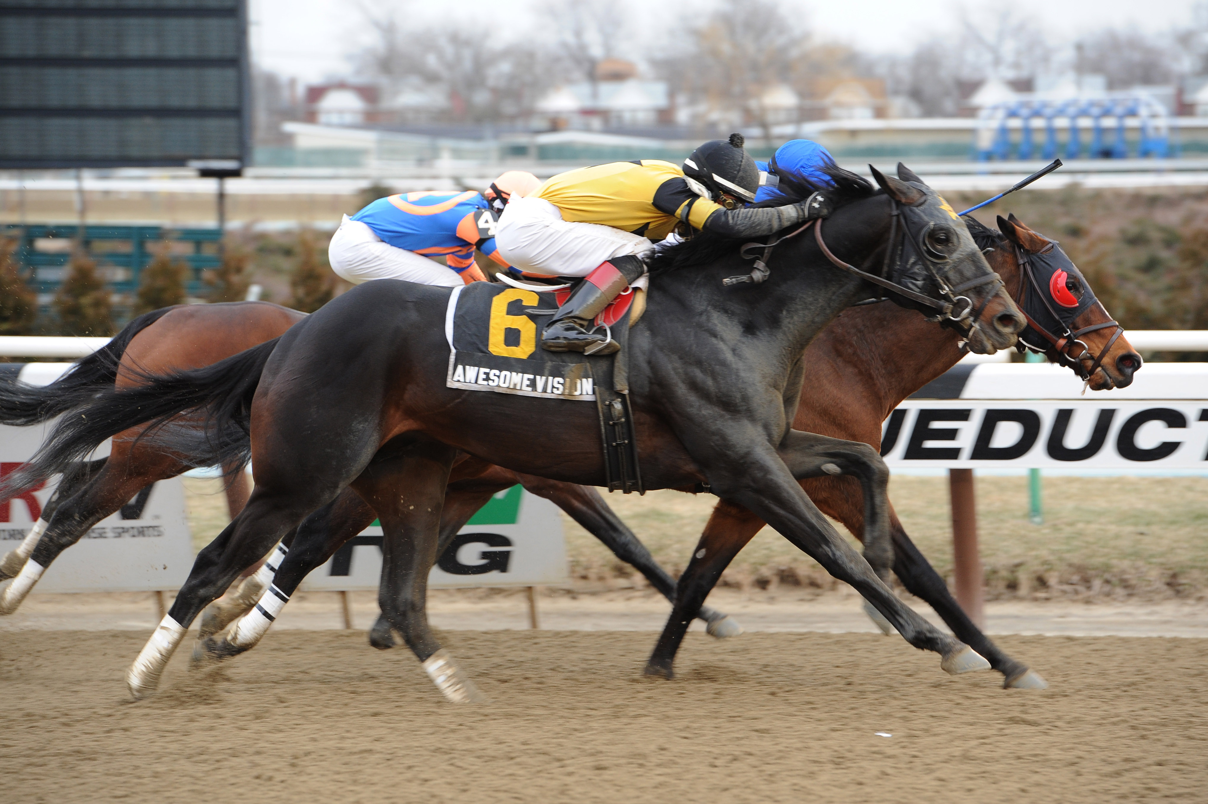Saginaw, Awesome Vision (outside) dead heat, March 21, 2013
