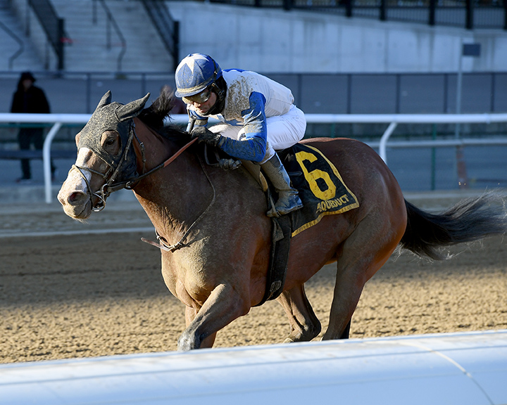 Saguaro Row wins the 2019 Pumpkin Pie Stakes at Aqueduct
