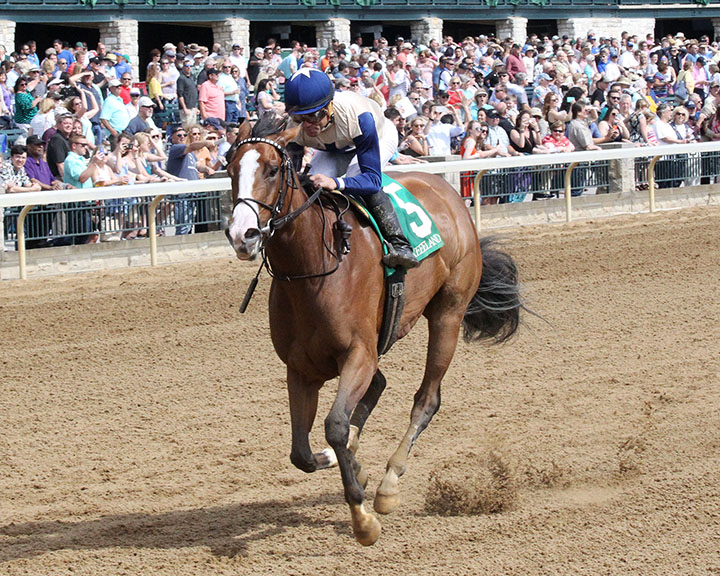 Saguaro Row wins an April 11 allowance at Keeneland