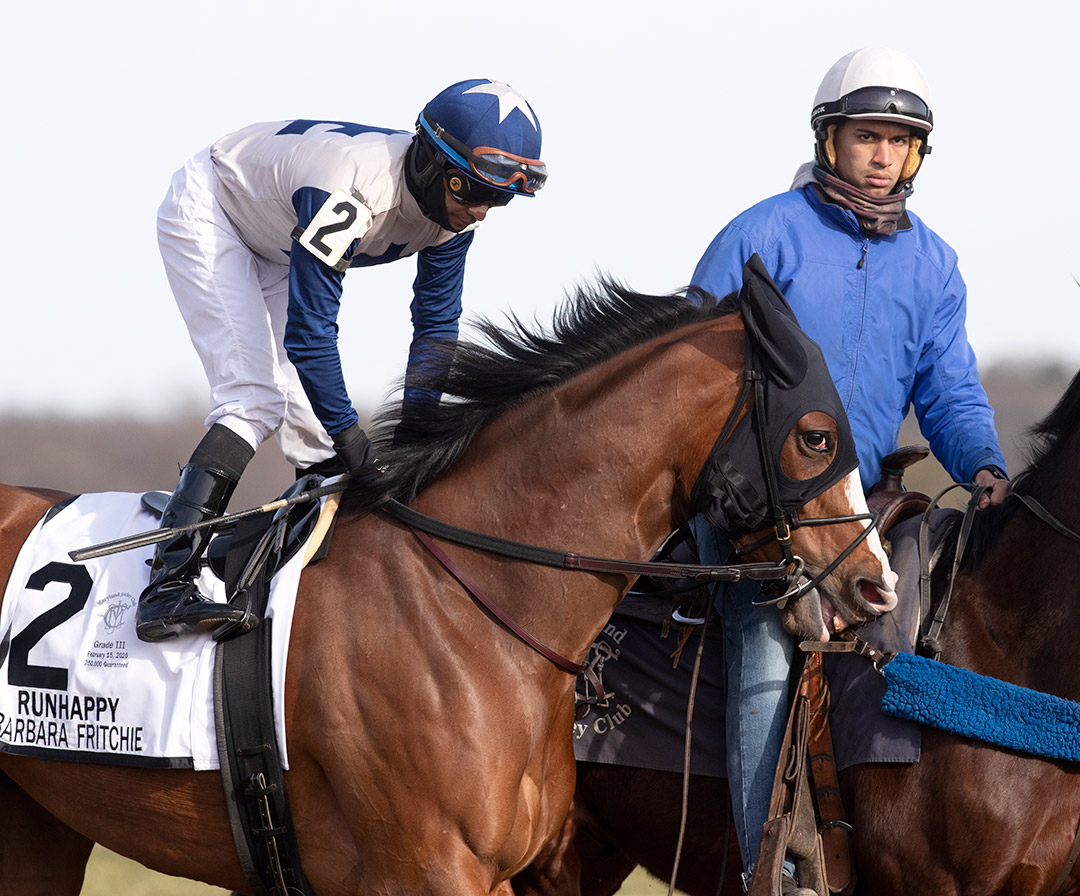 Saguaro Row at the 2020 Barbara Fritchie Stakes at Laurel Park