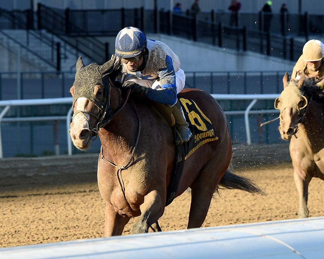 Saguaro Row wins the 2019 Pumpkin Pie Stakes at Aqueduct