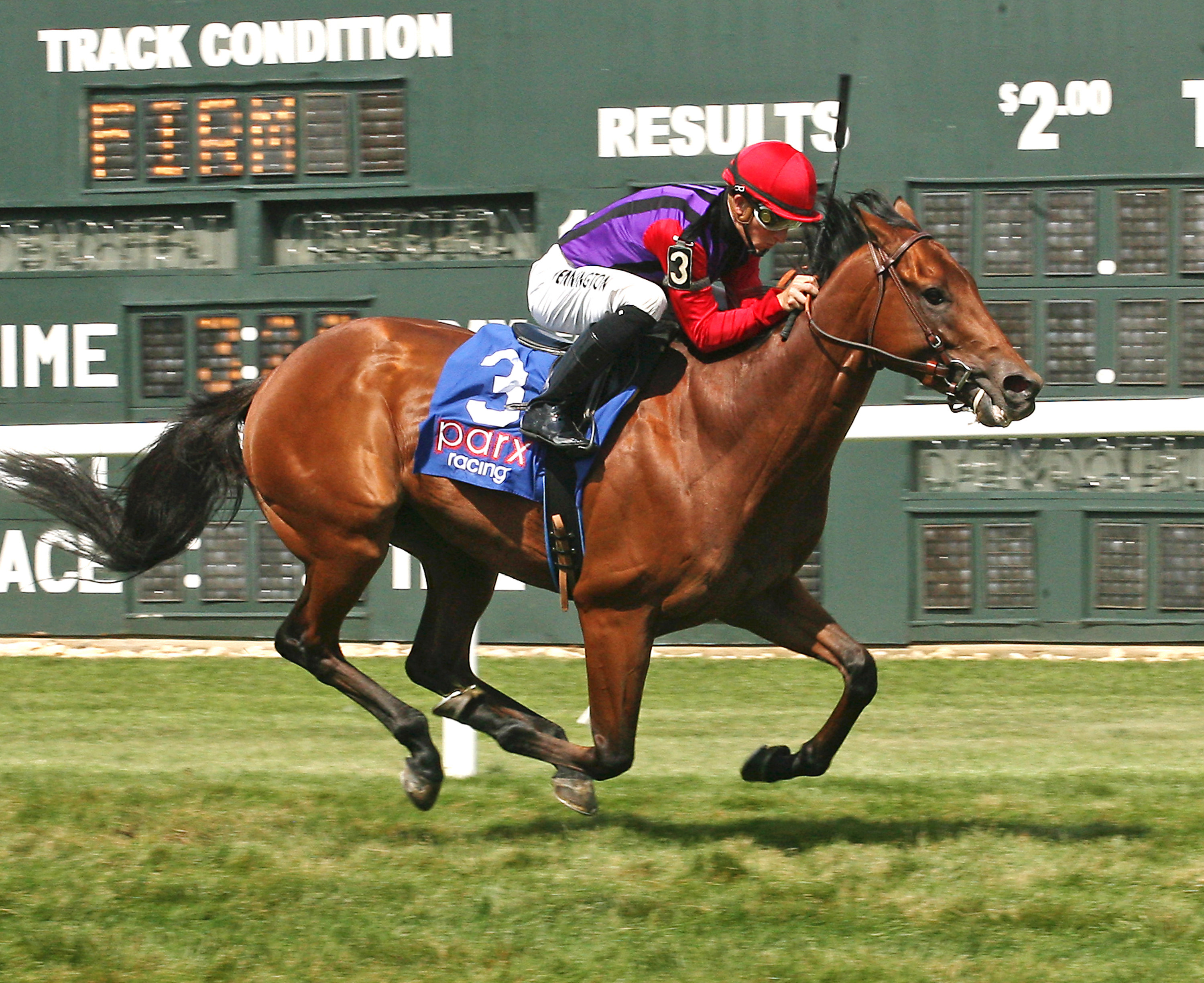 Saham wins the Crowd Pleaser Handicap
