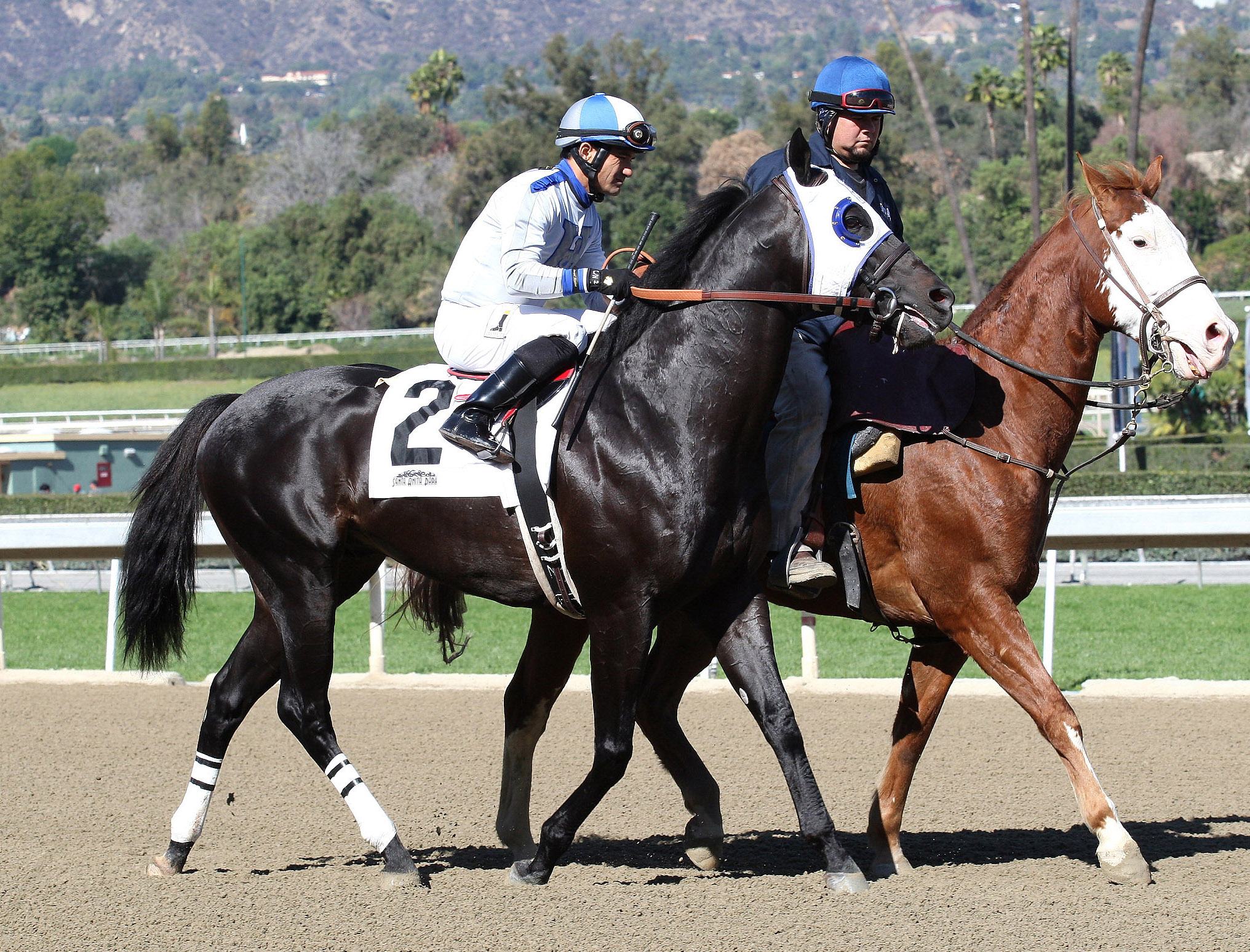 Sahara Sky at the Palos Verdes Stakes