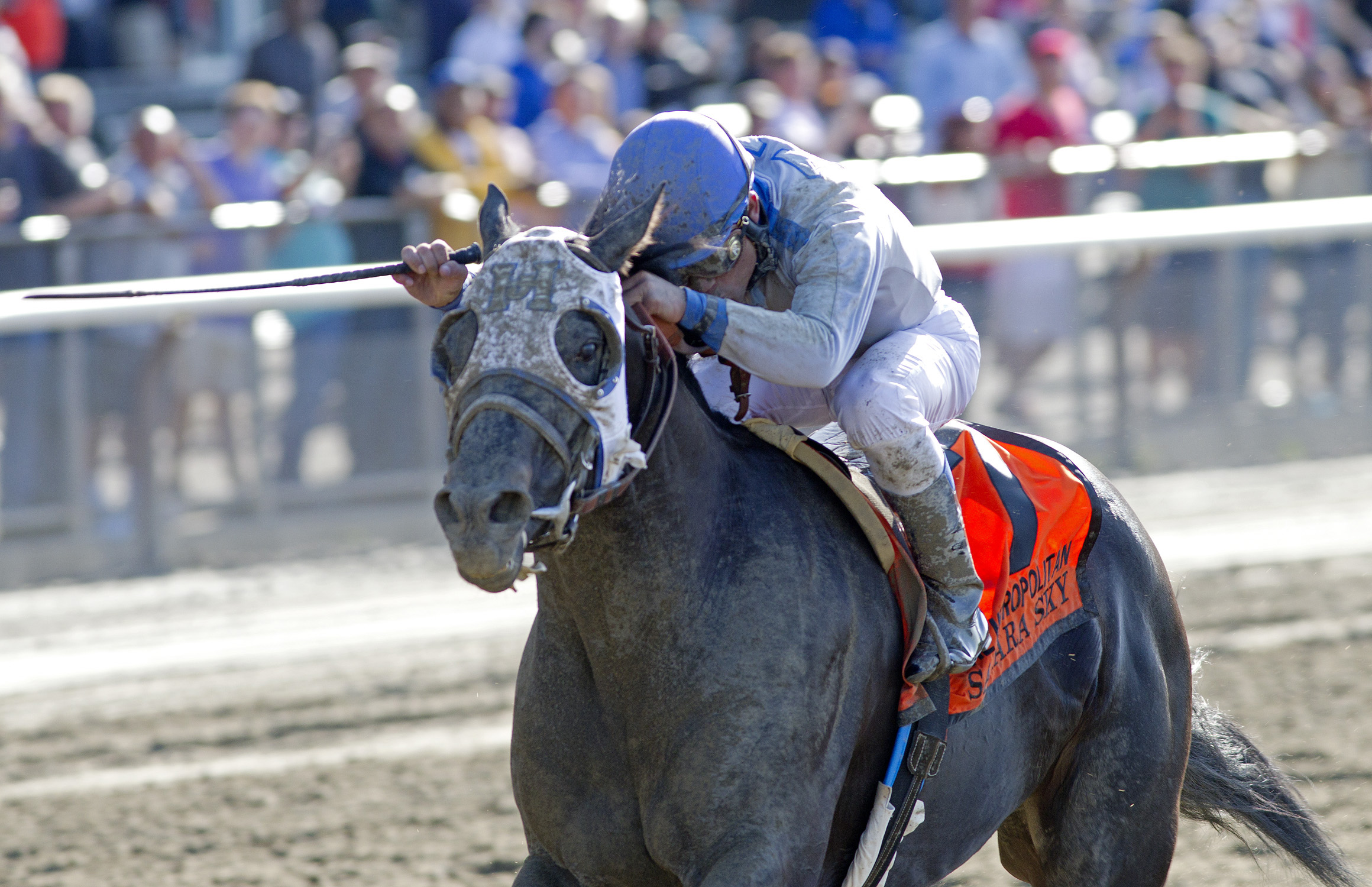 Sahara Sky, Met Mile