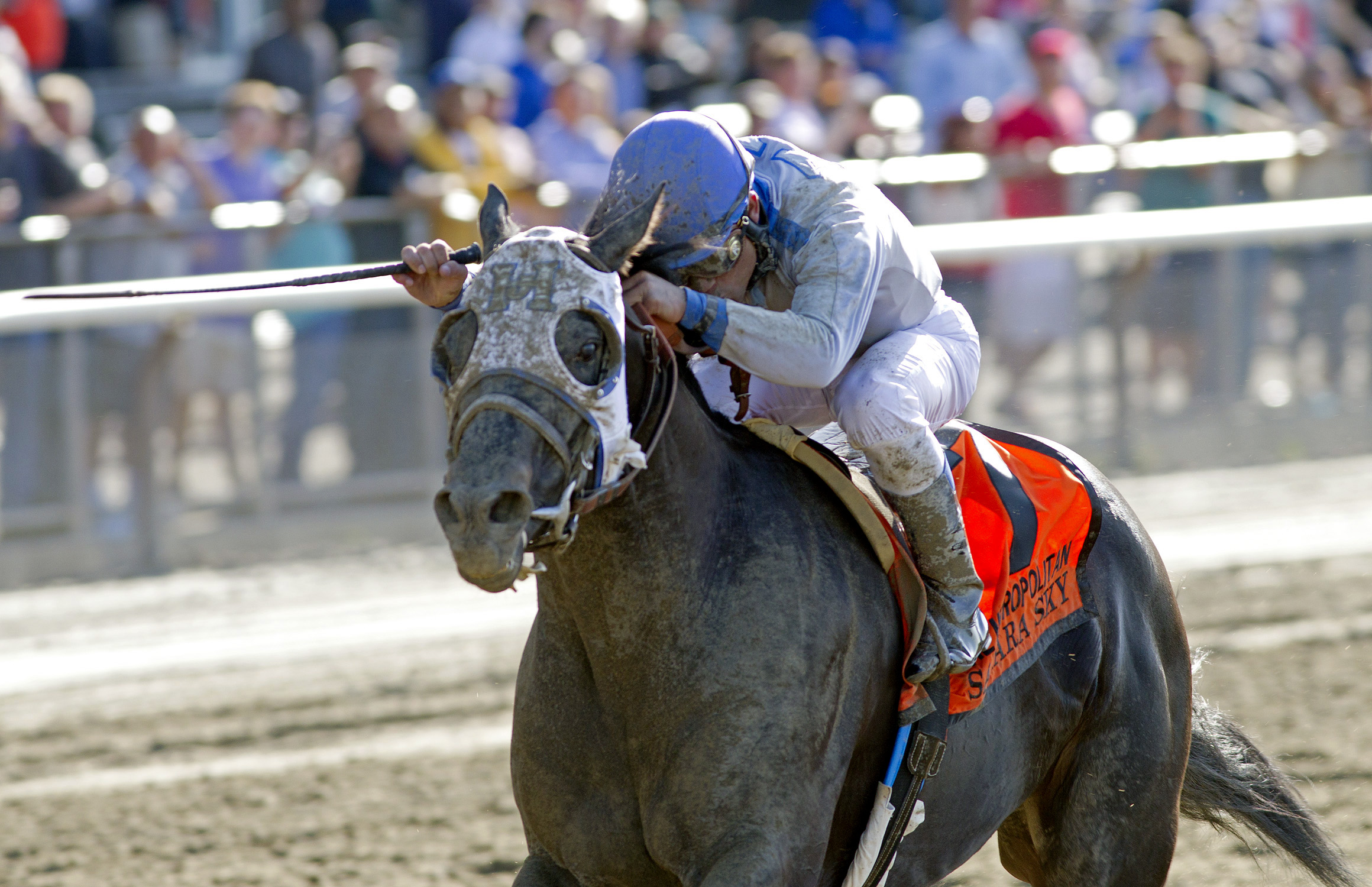 Sahara Sky wins the 2013 Met Mile