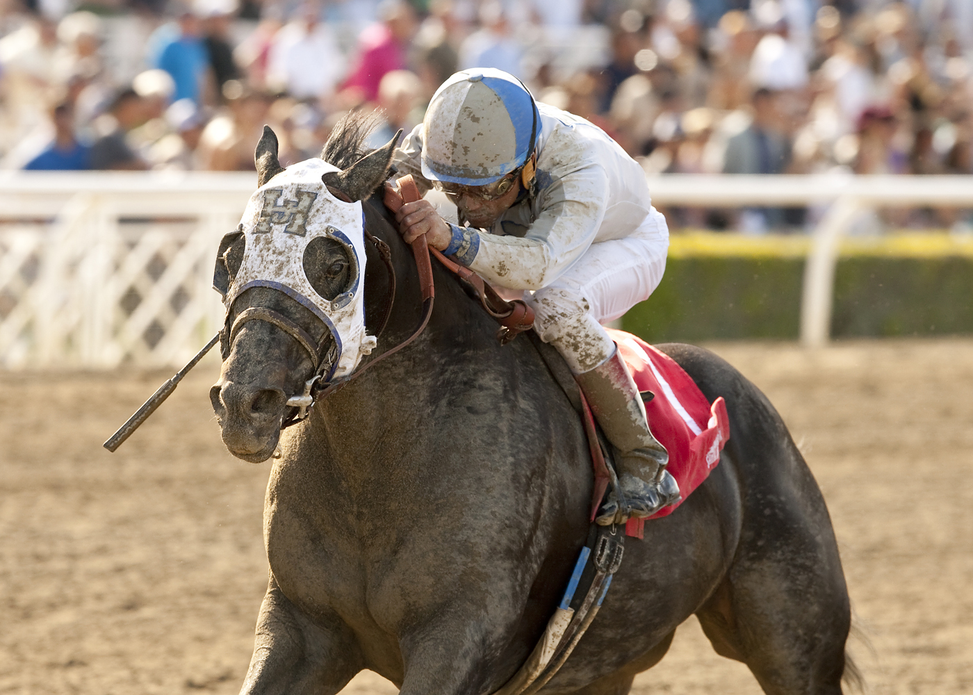 Sahara Sky wins the San Carlos