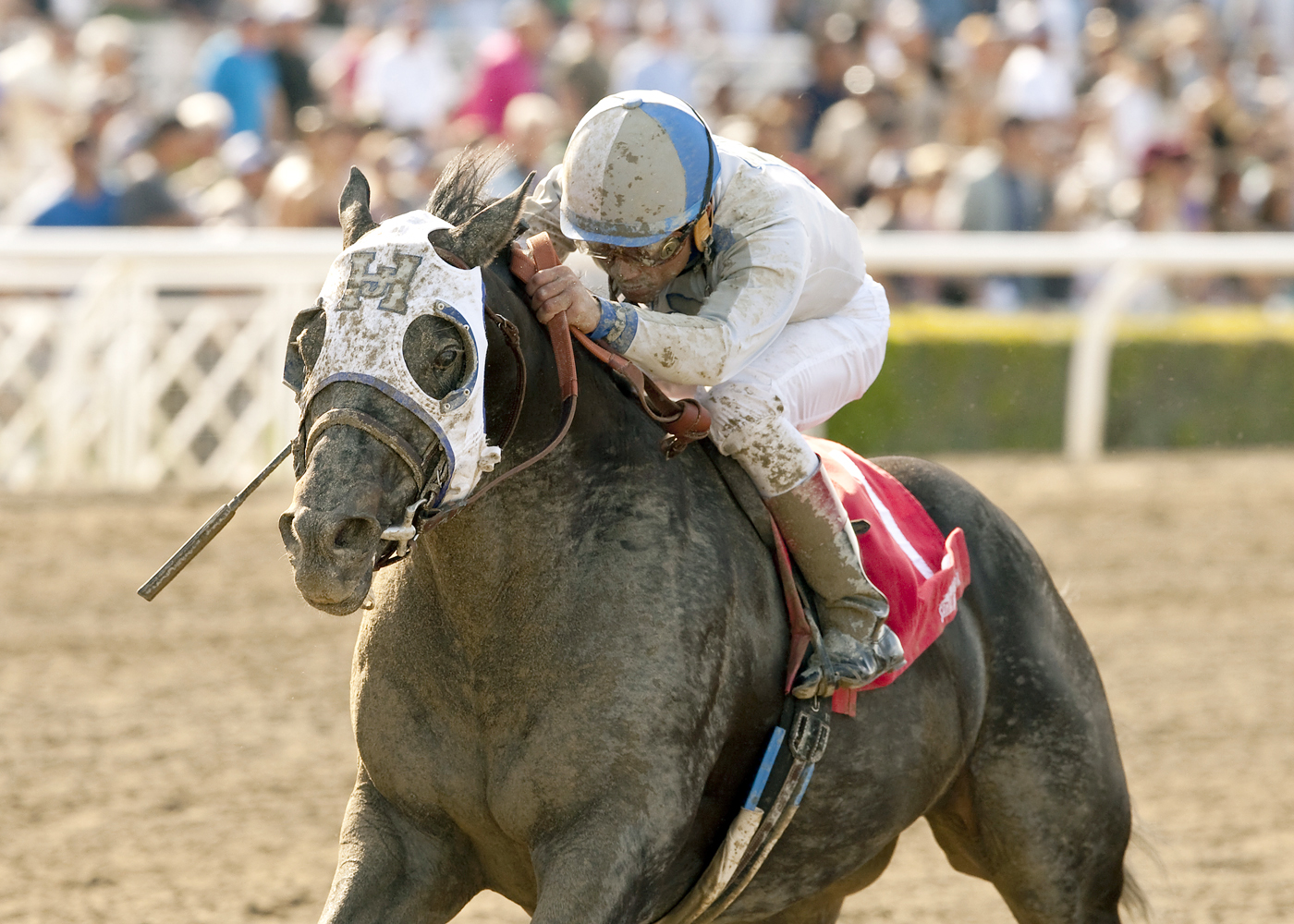 Sahara Sky wins the San Carlos