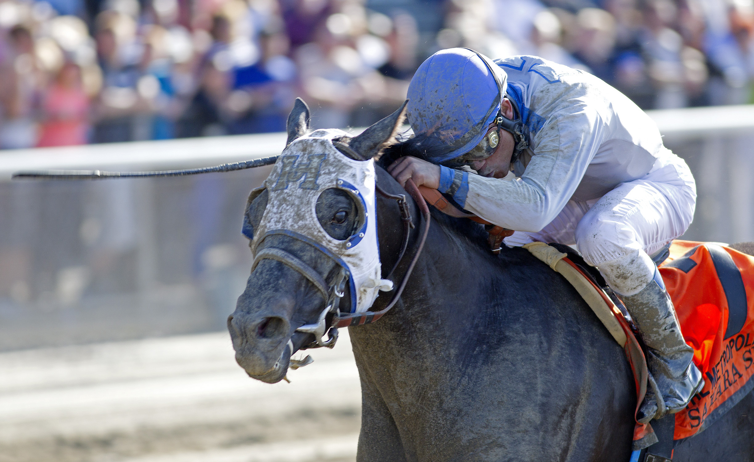 Sahara Sky, Metropolitan Handicap