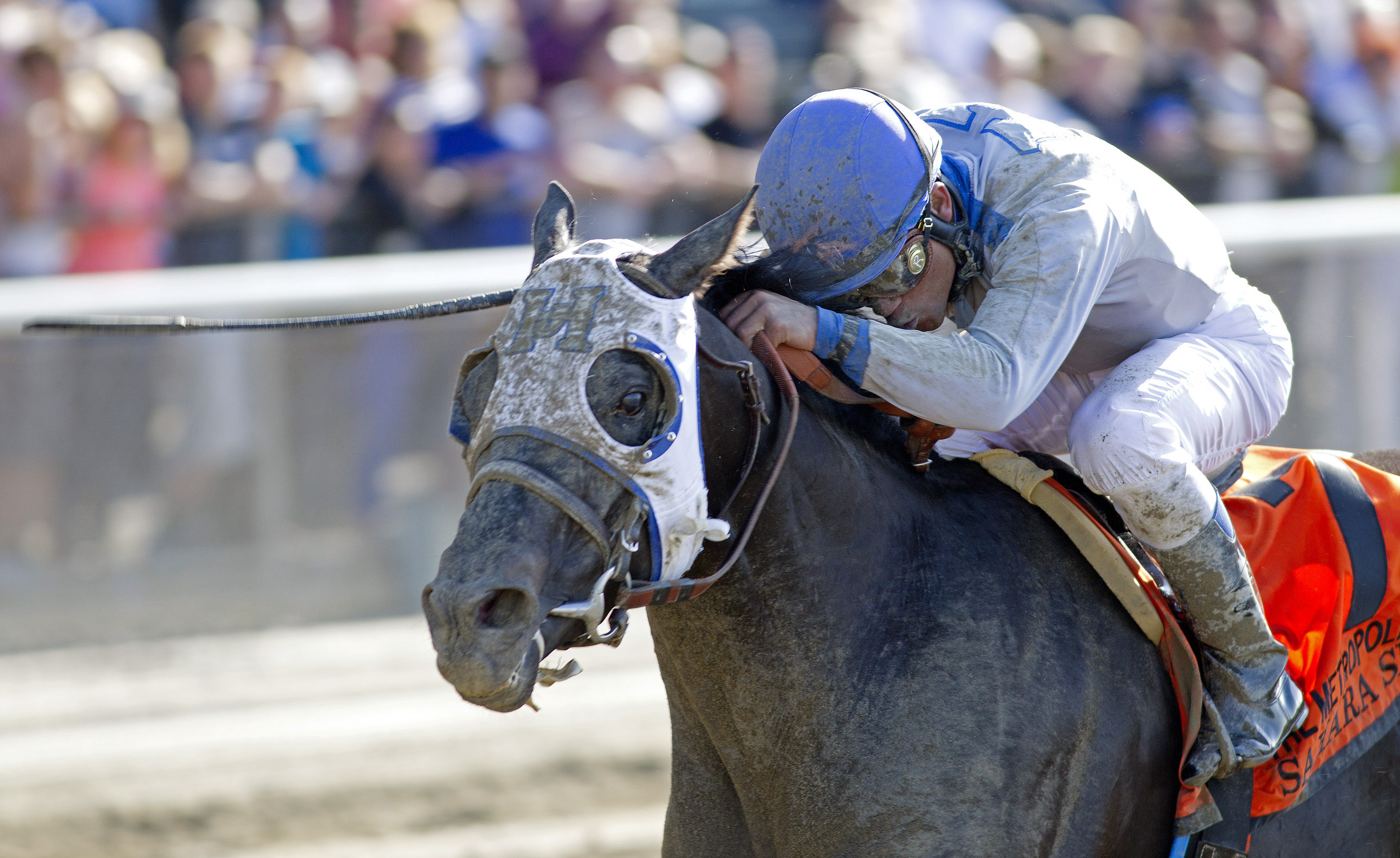 Sahara Sky wins the 2013 Met Mile