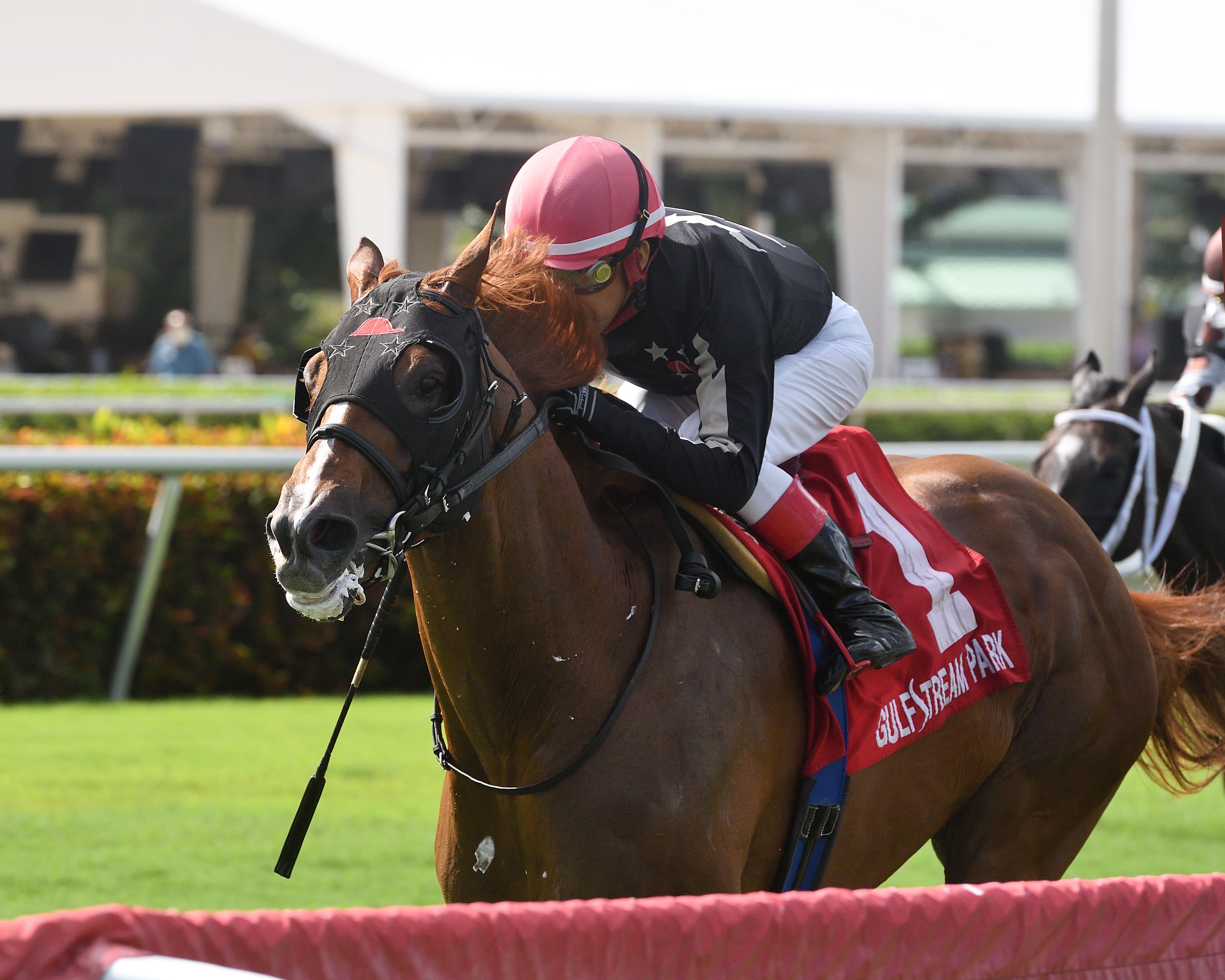 Sailing Solo wins the Mecke at Gulfstream.7-25-2020
