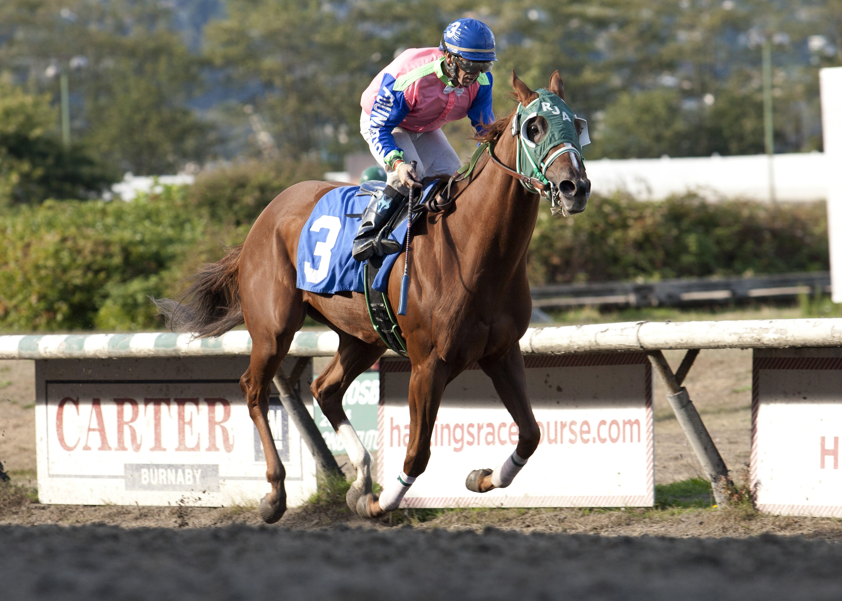Sailingforthesun wins the 2015 CTHS Sales Stakes