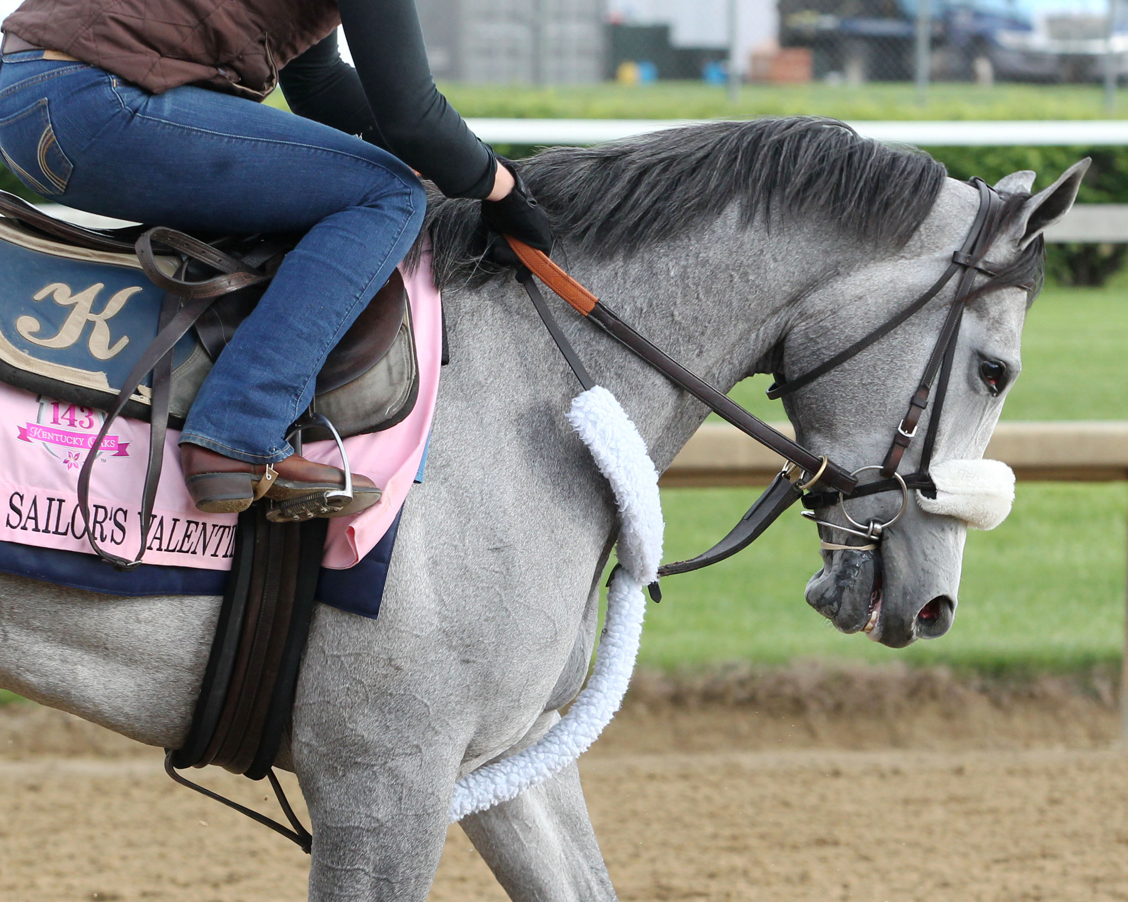 Sailor-s Valentine at Churchill in May 2017