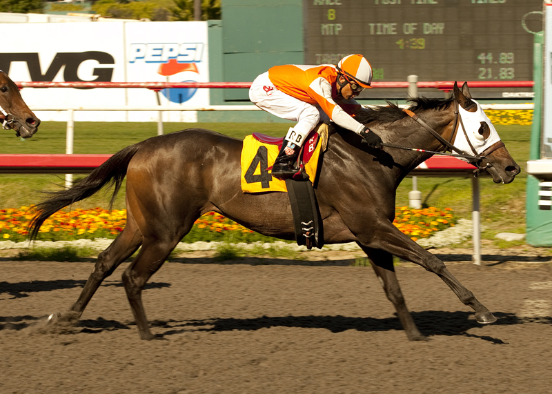 Saint Isabelle 5-1-2011
