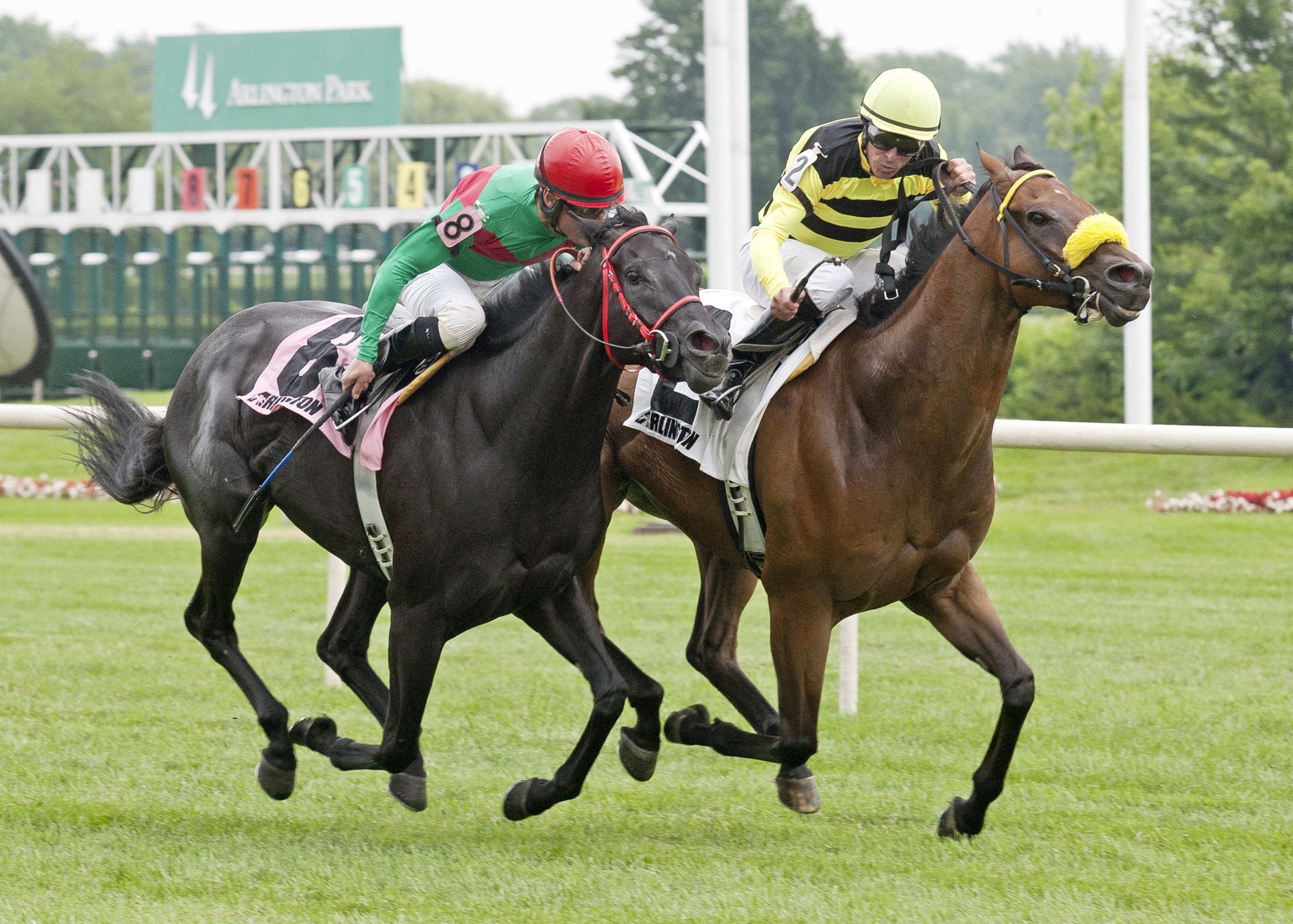 Saint Leon wins the 2013 Arlington Sprint