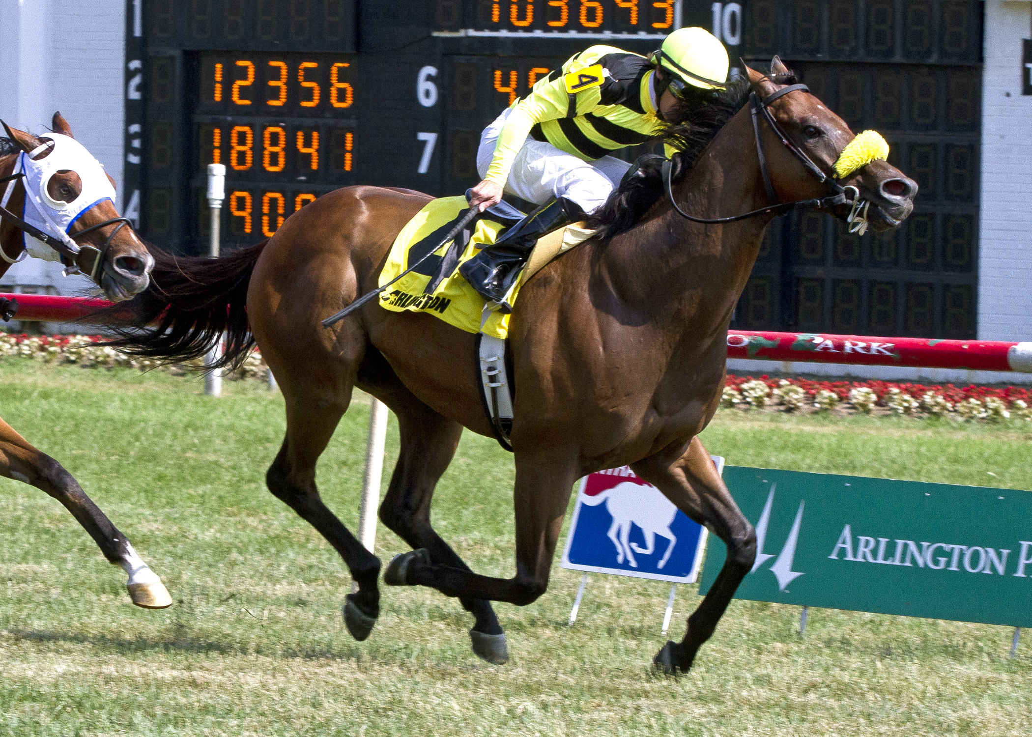 Saint Leon, Arlington Sprint